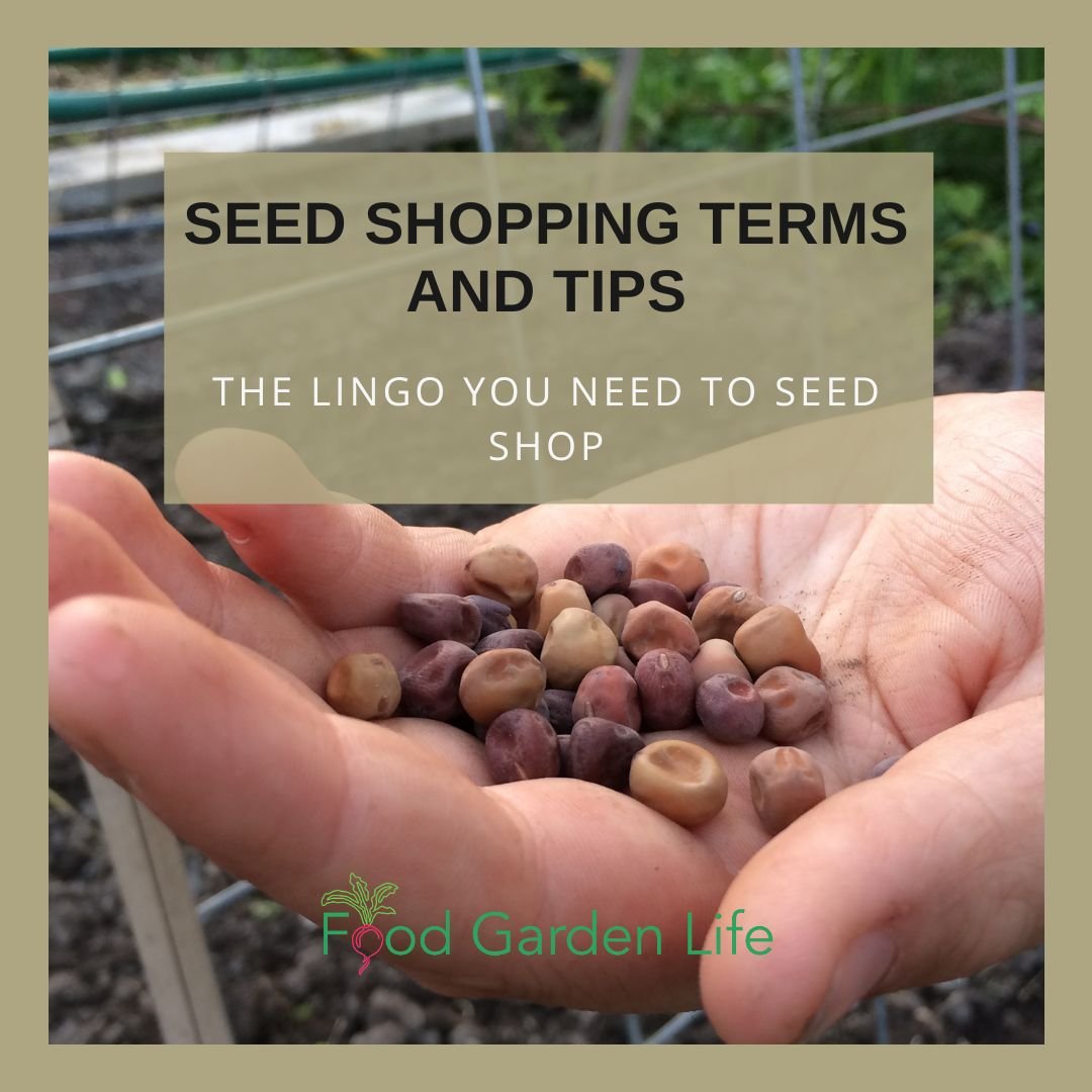 Seed Shopping Tips, What to Know Before You Buy
