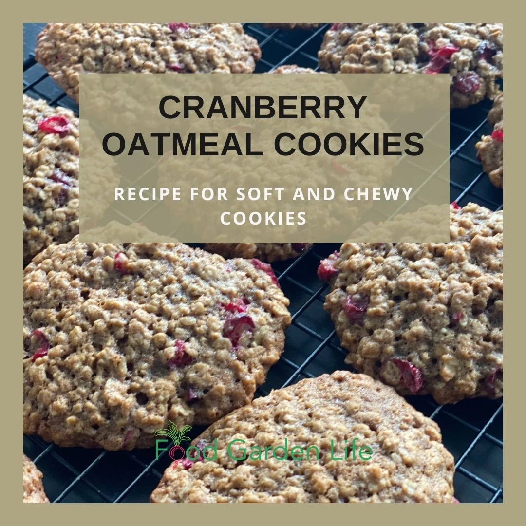 cranberry oatmeal cookies header.jpg