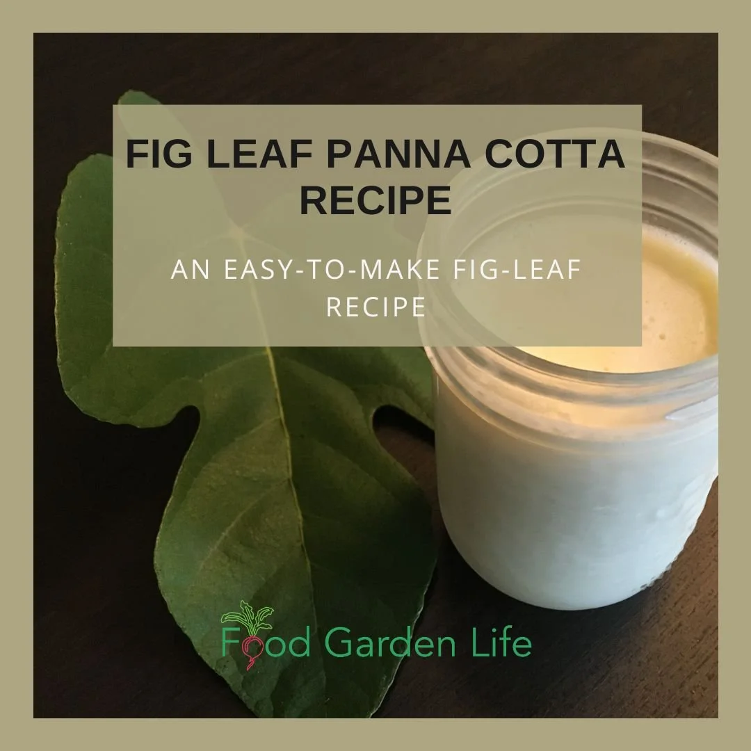 Cooking Panna Cotta  Play Now Online for Free 