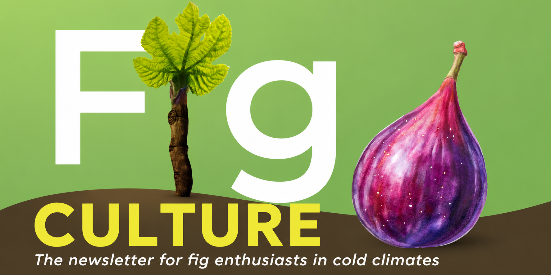 Fig Culture Newsletter logo