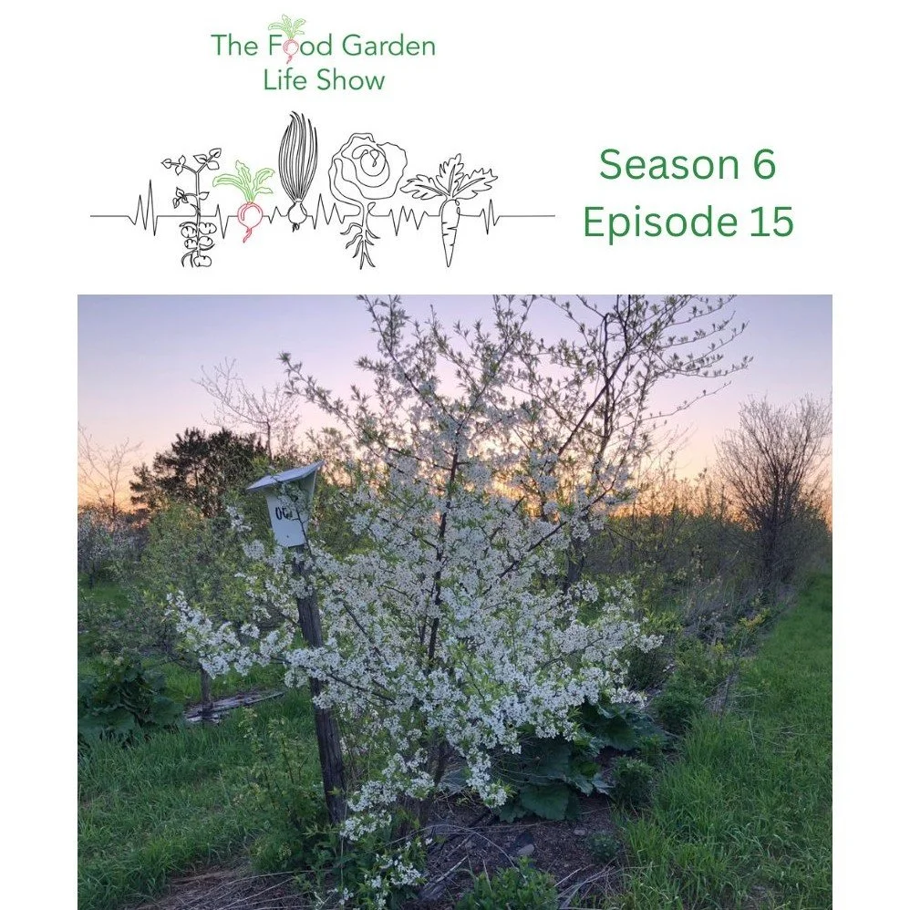 permaculture orchard header.jpg