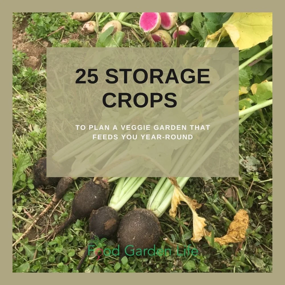25 Storage Crops to Help You Plan a Vegetable Garden that Feeds You