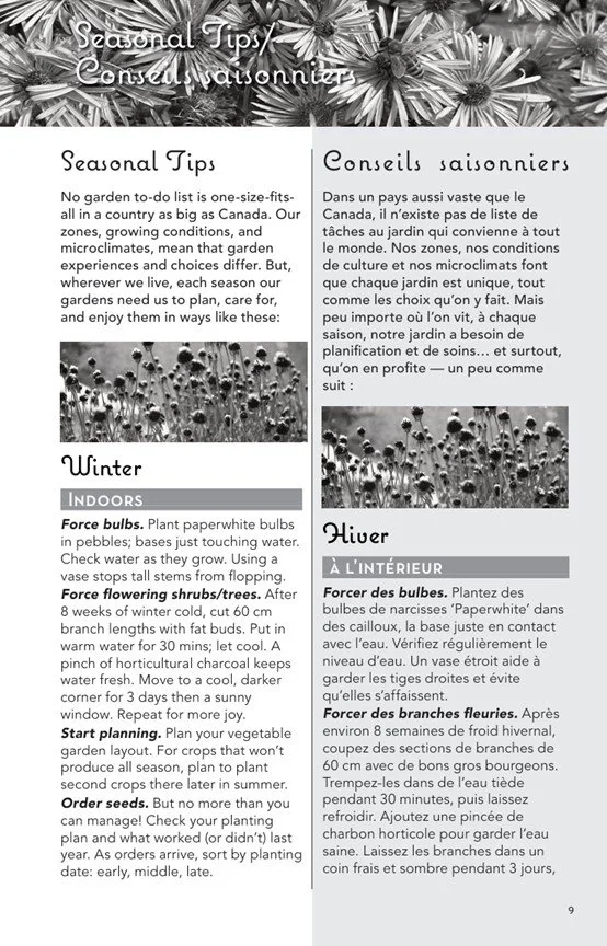 seasonal tips.jpg