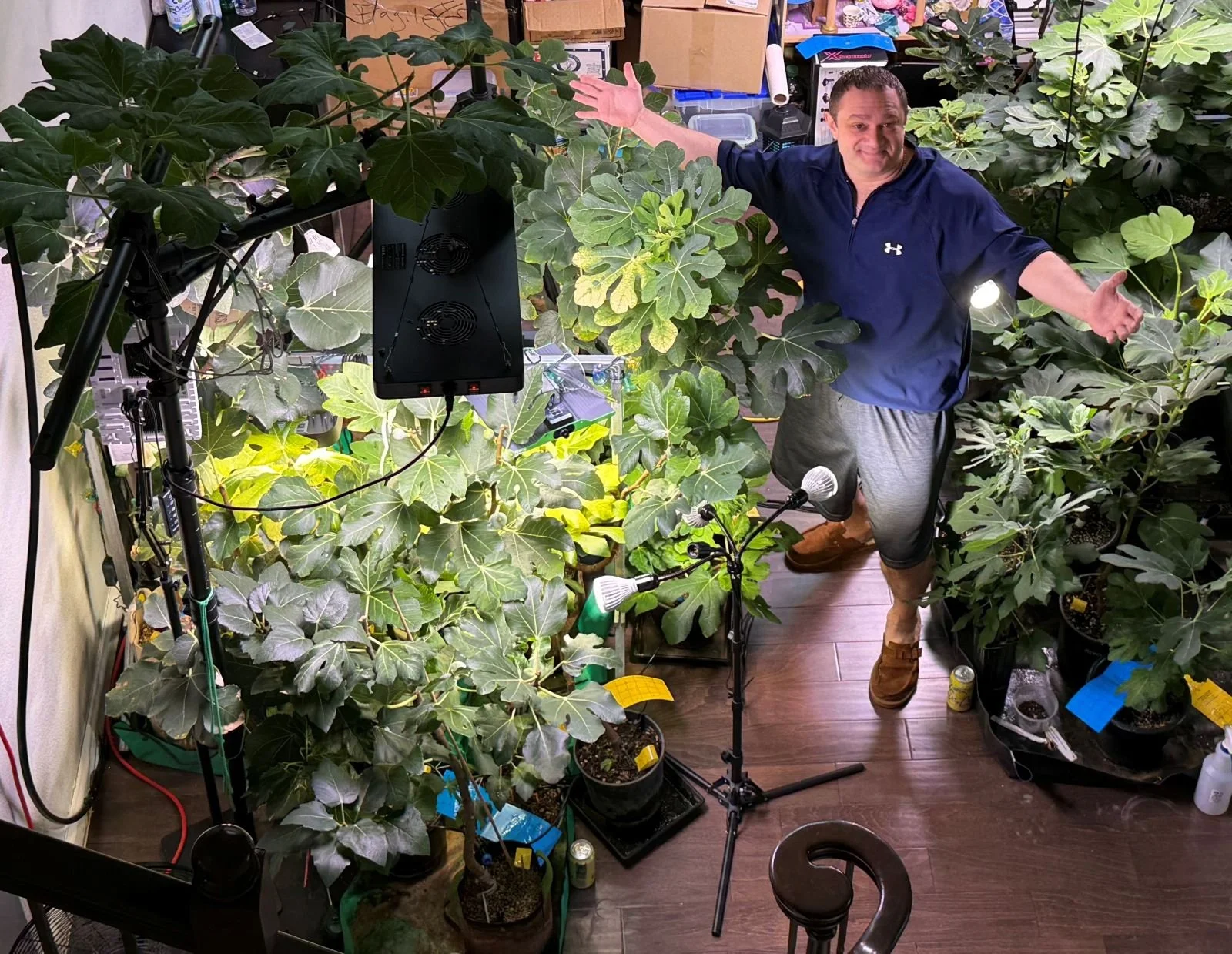 Eddie Sleem surrounded by his indoor fig trees and grow lights at his home in Dallas, Texas.