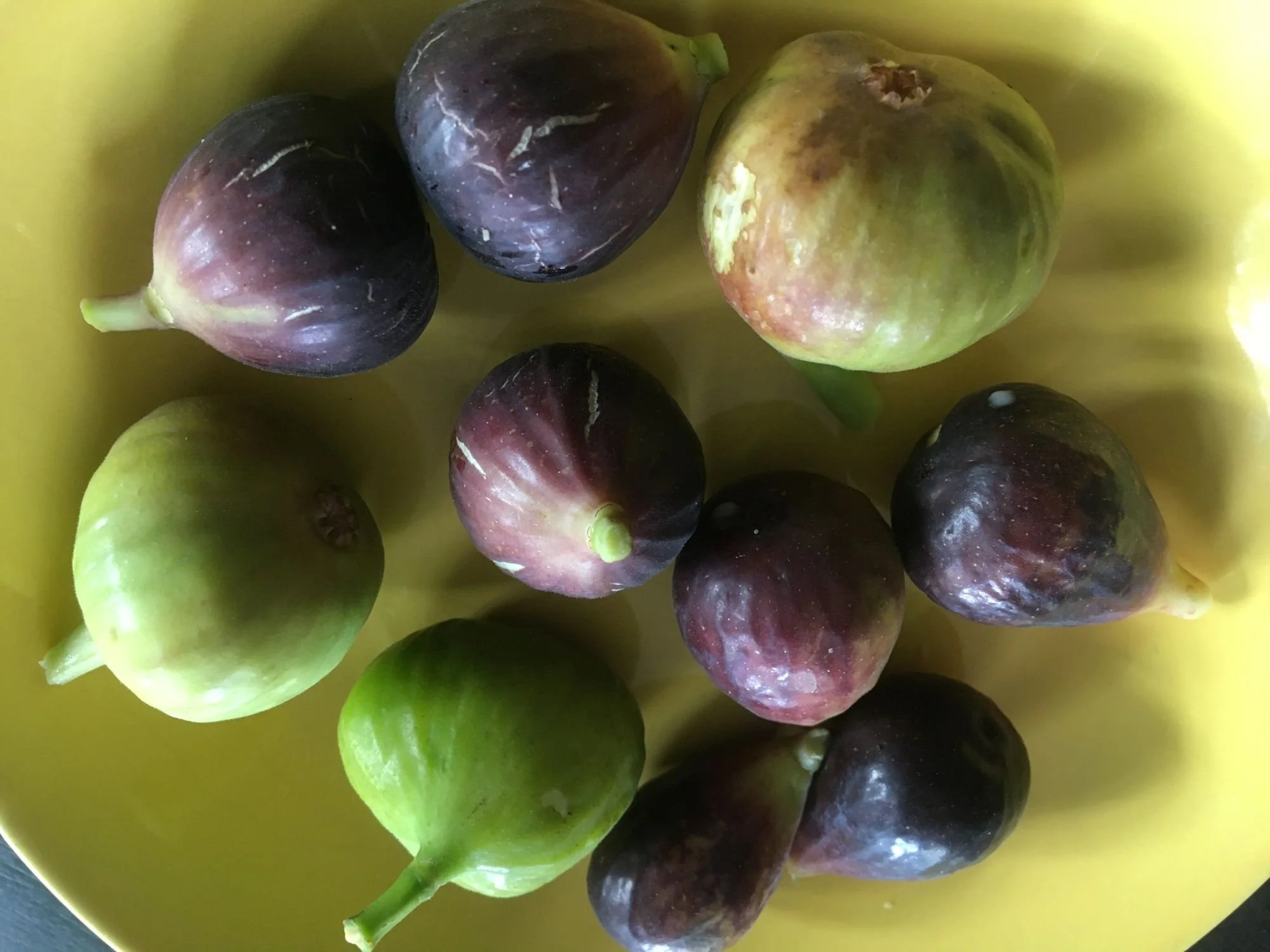 Ripe figs of different varieties showing differences in size, colour, and shape.