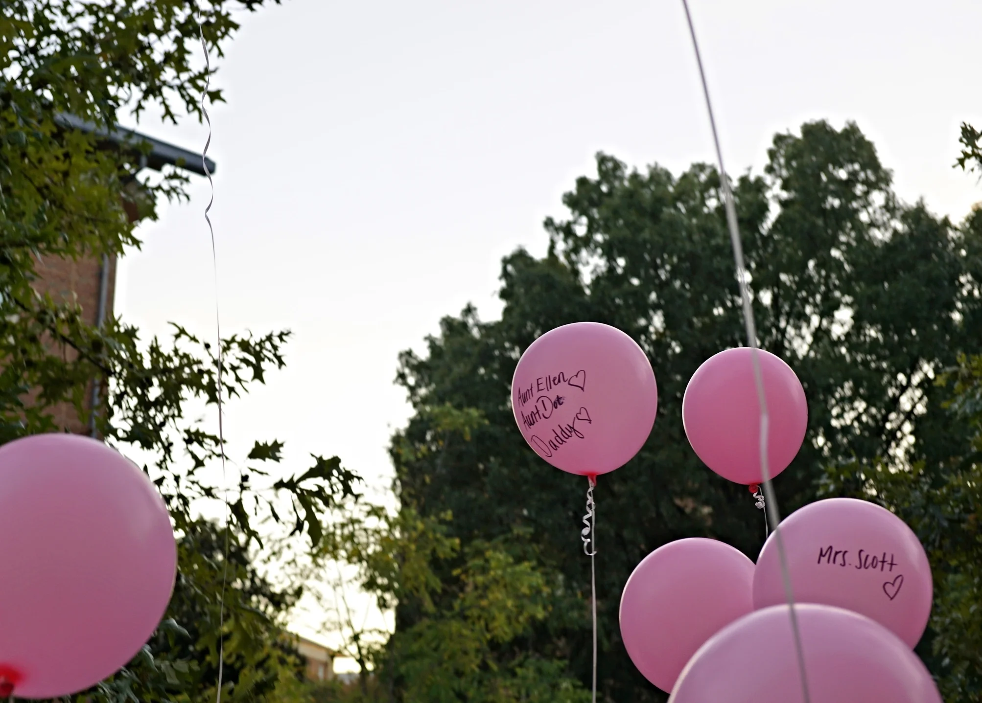 Breast Cancer Awareness / BSM Pride Day