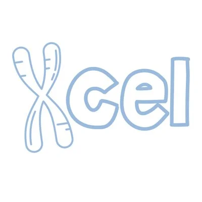 Xcel