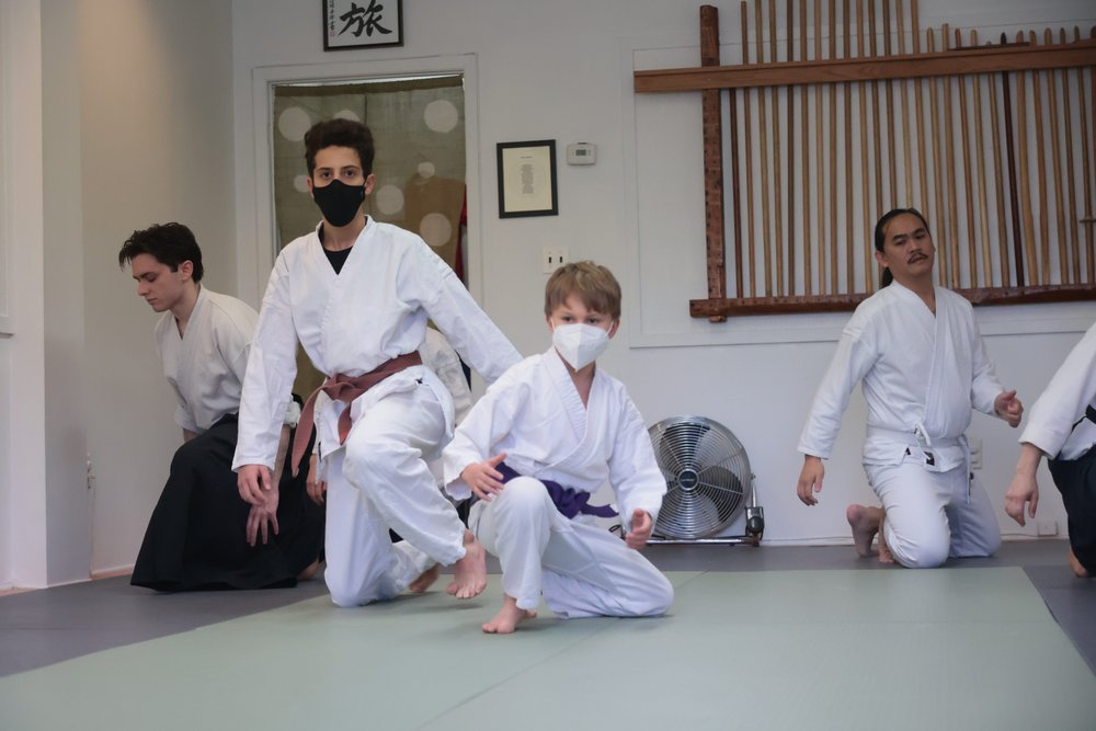 Martial Arts for Kids  Aikido of South Brooklyn