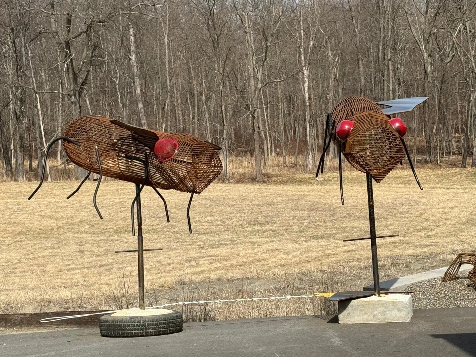 PHOTO-2025-03-28-18-54-36 10.jpg