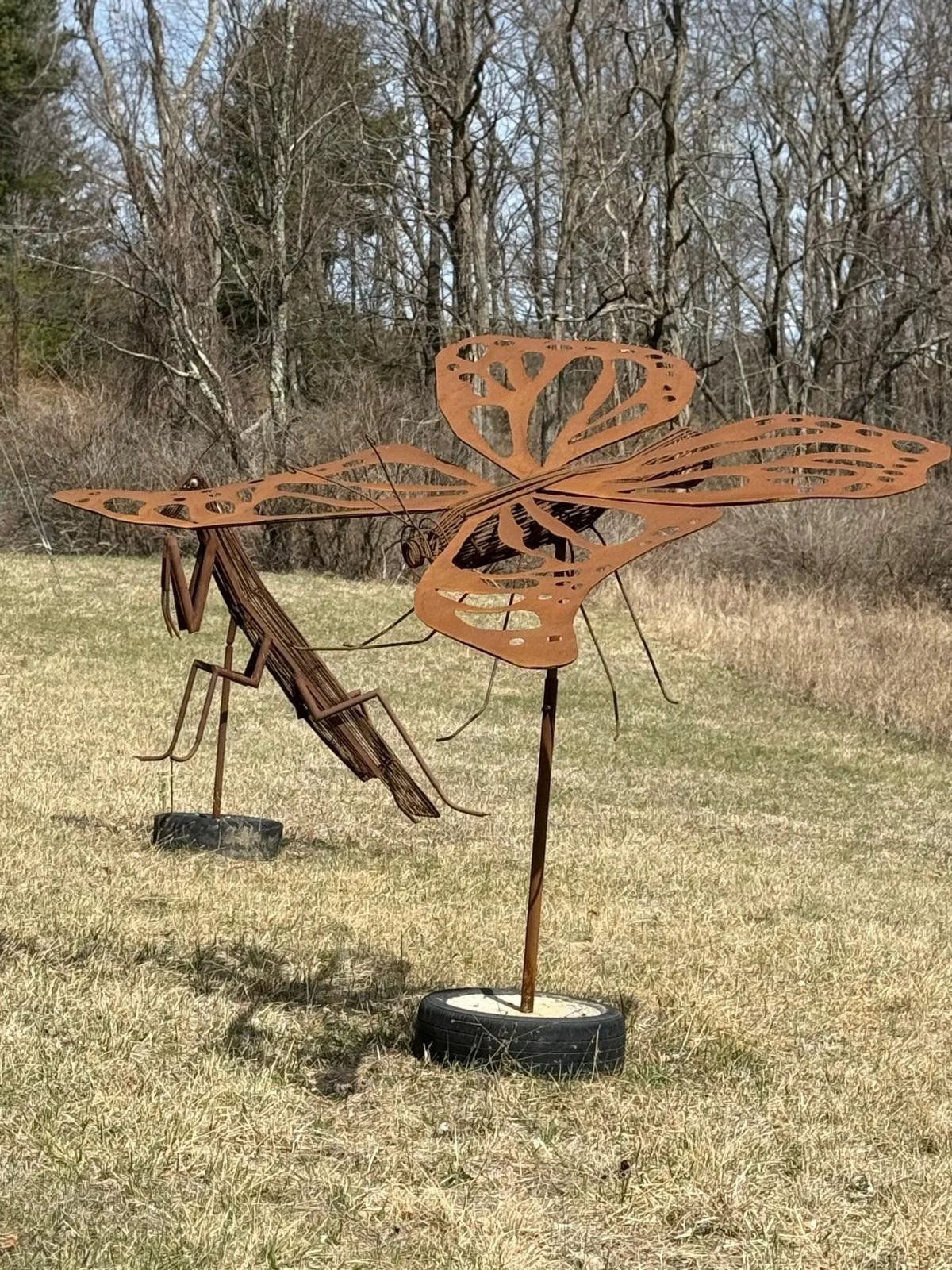 PHOTO-2025-03-28-18-53-46 5.jpg