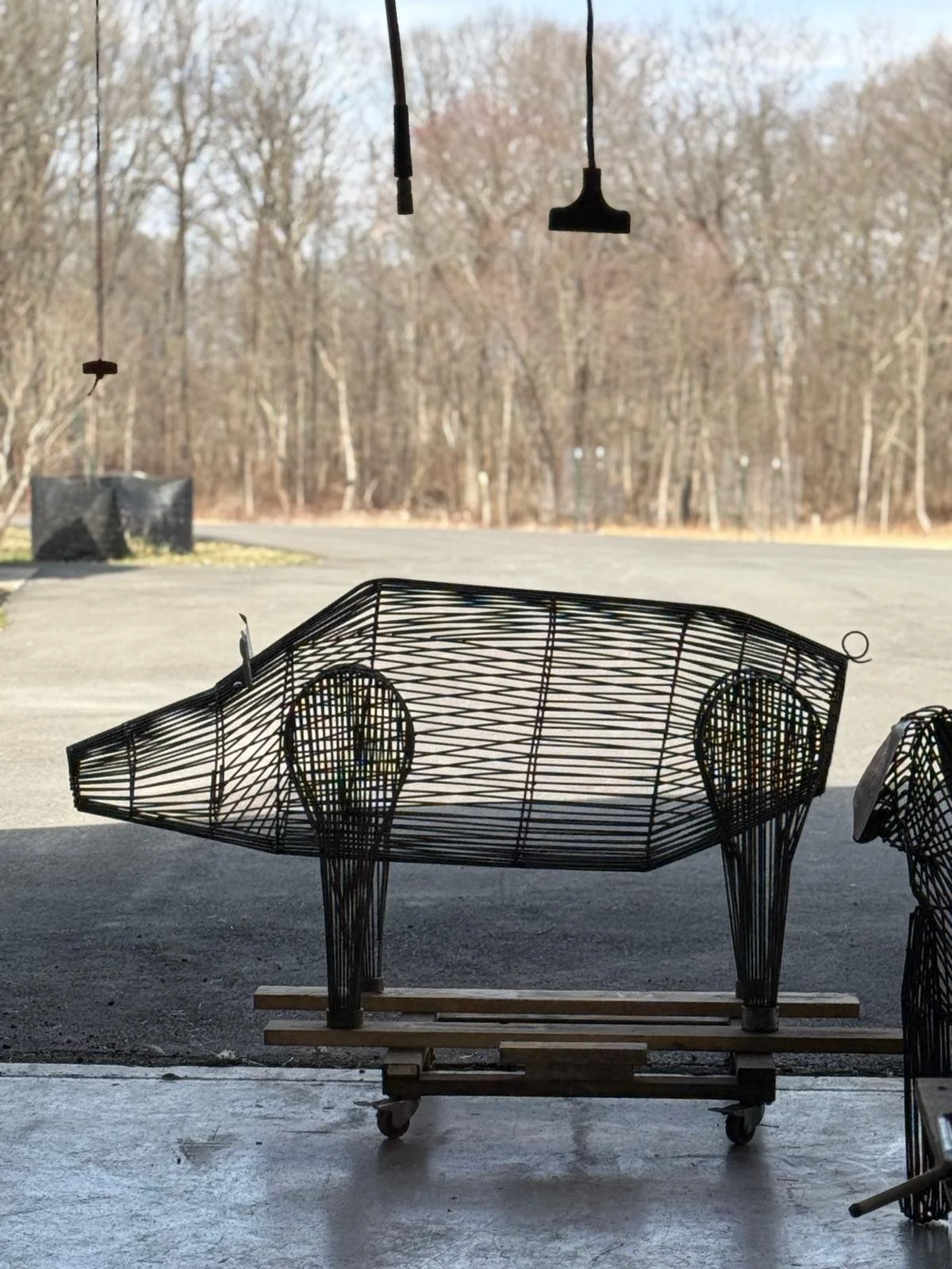 PHOTO-2025-03-28-18-54-36 16.jpg