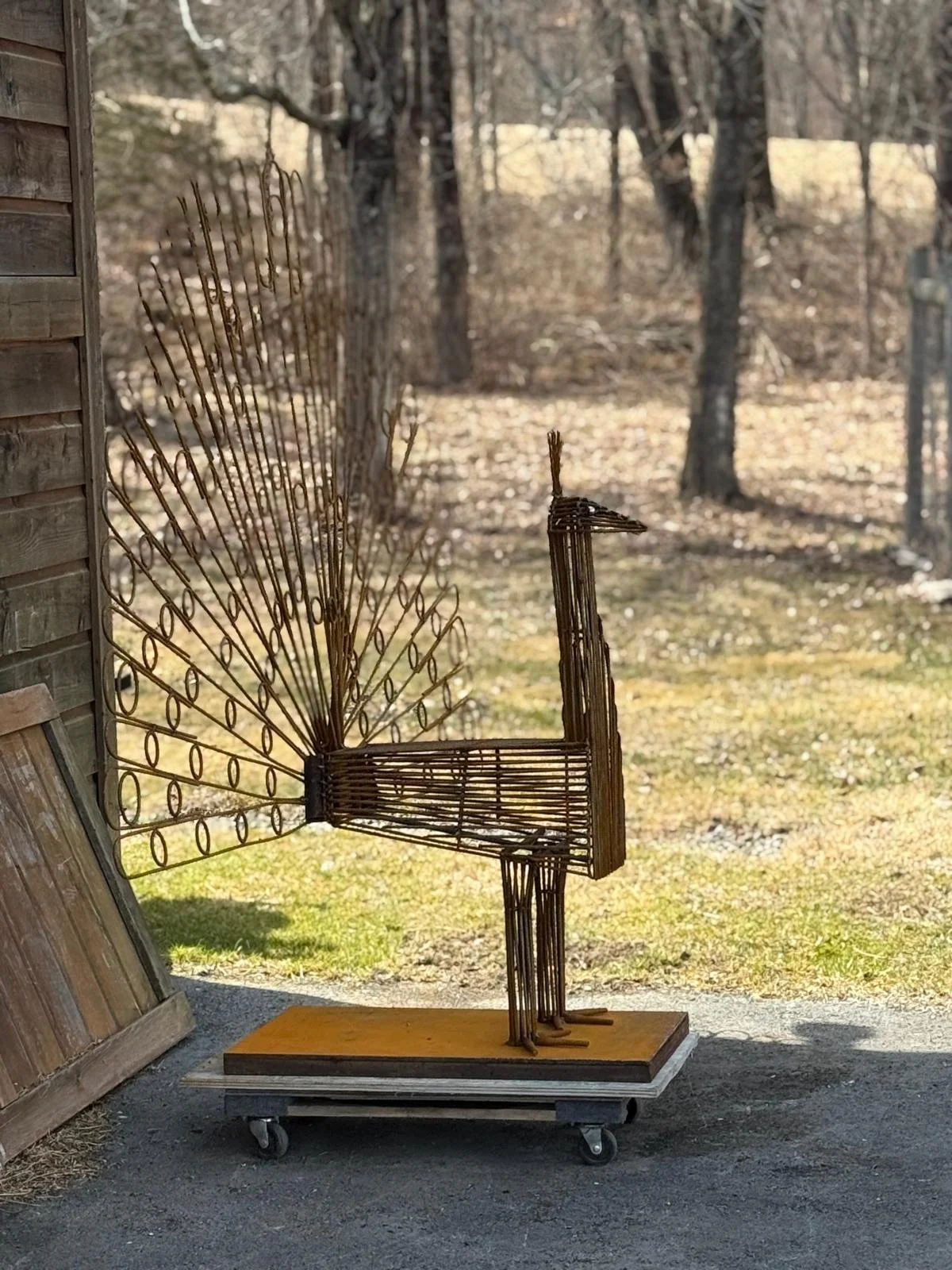 PHOTO-2025-03-28-18-54-36 8.jpg