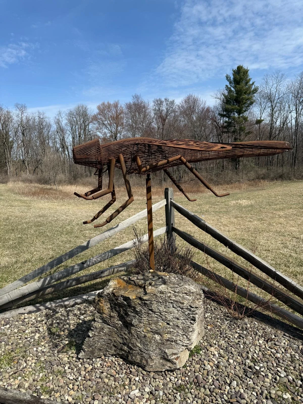 PHOTO-2025-03-28-18-53-46 2.jpg