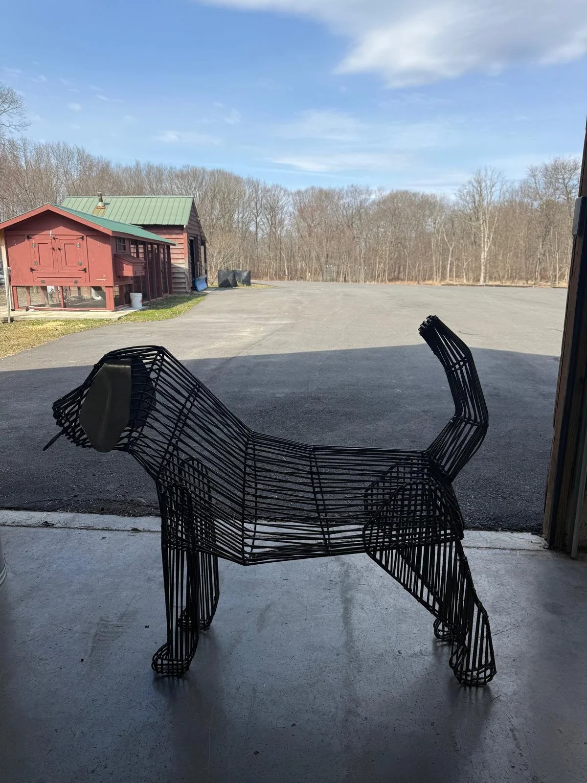 PHOTO-2025-03-28-18-54-36 15.jpg