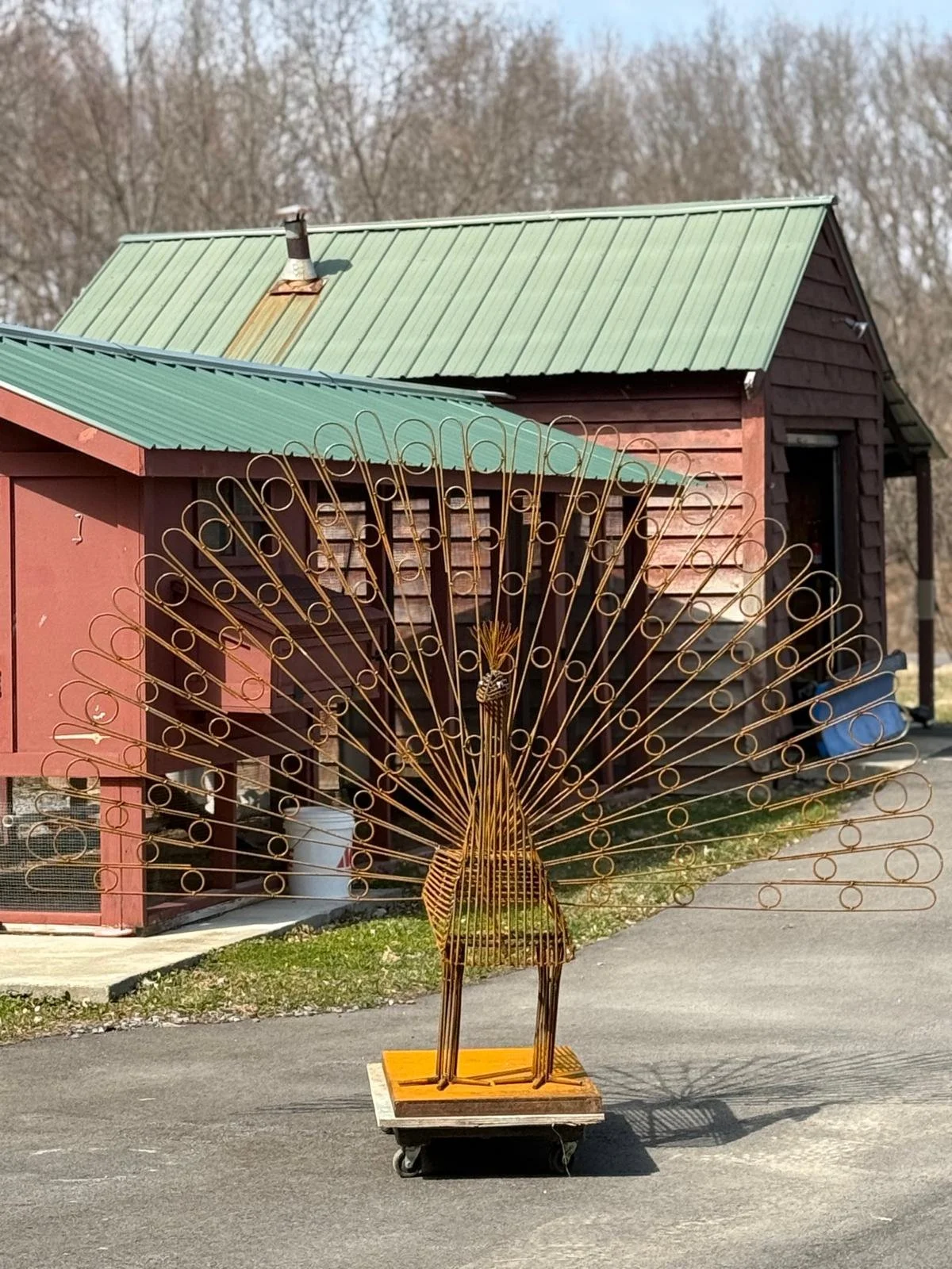 PHOTO-2025-03-28-18-54-36 23.jpg