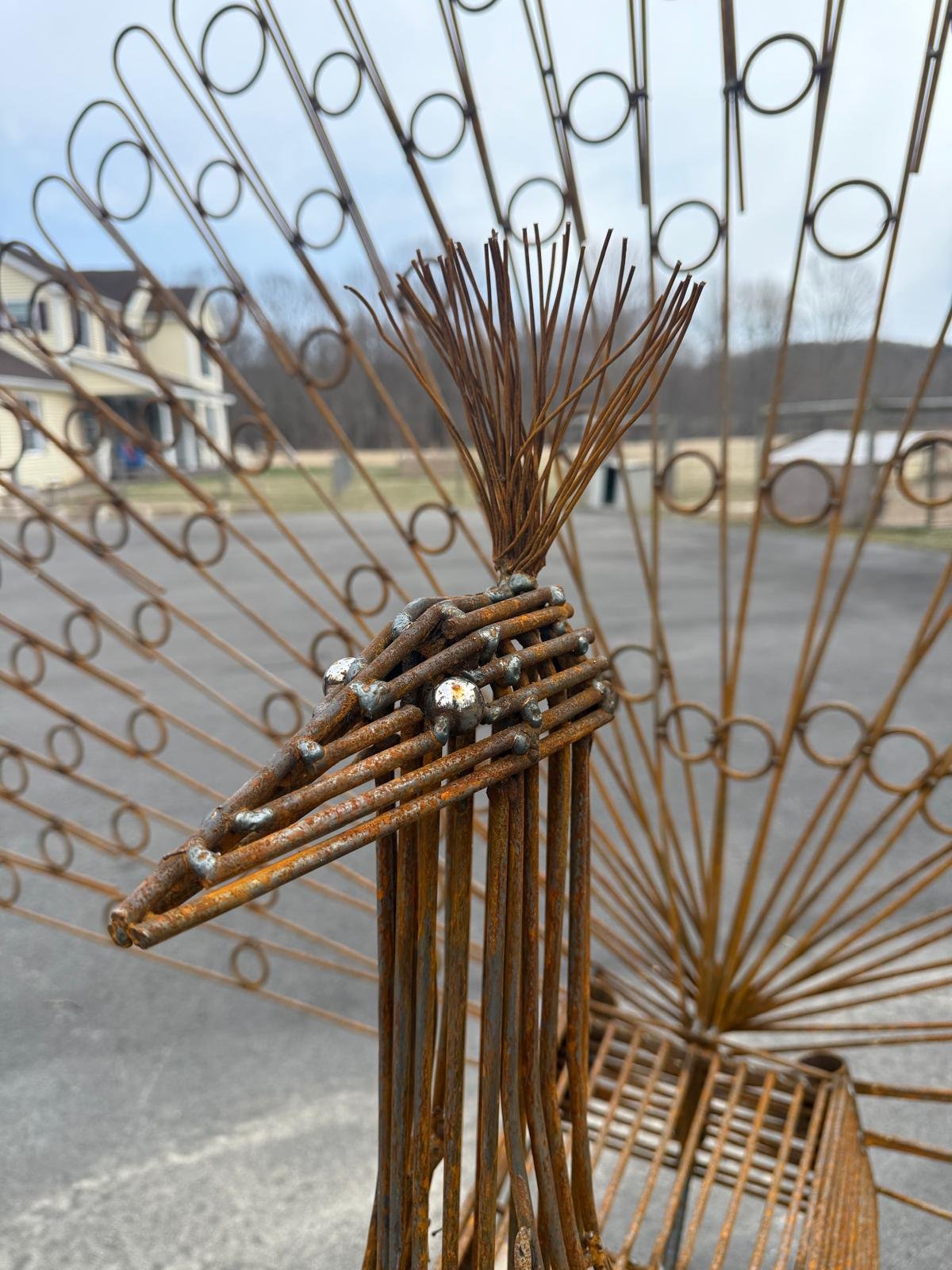 PHOTO-2025-03-28-18-54-36 27.jpg