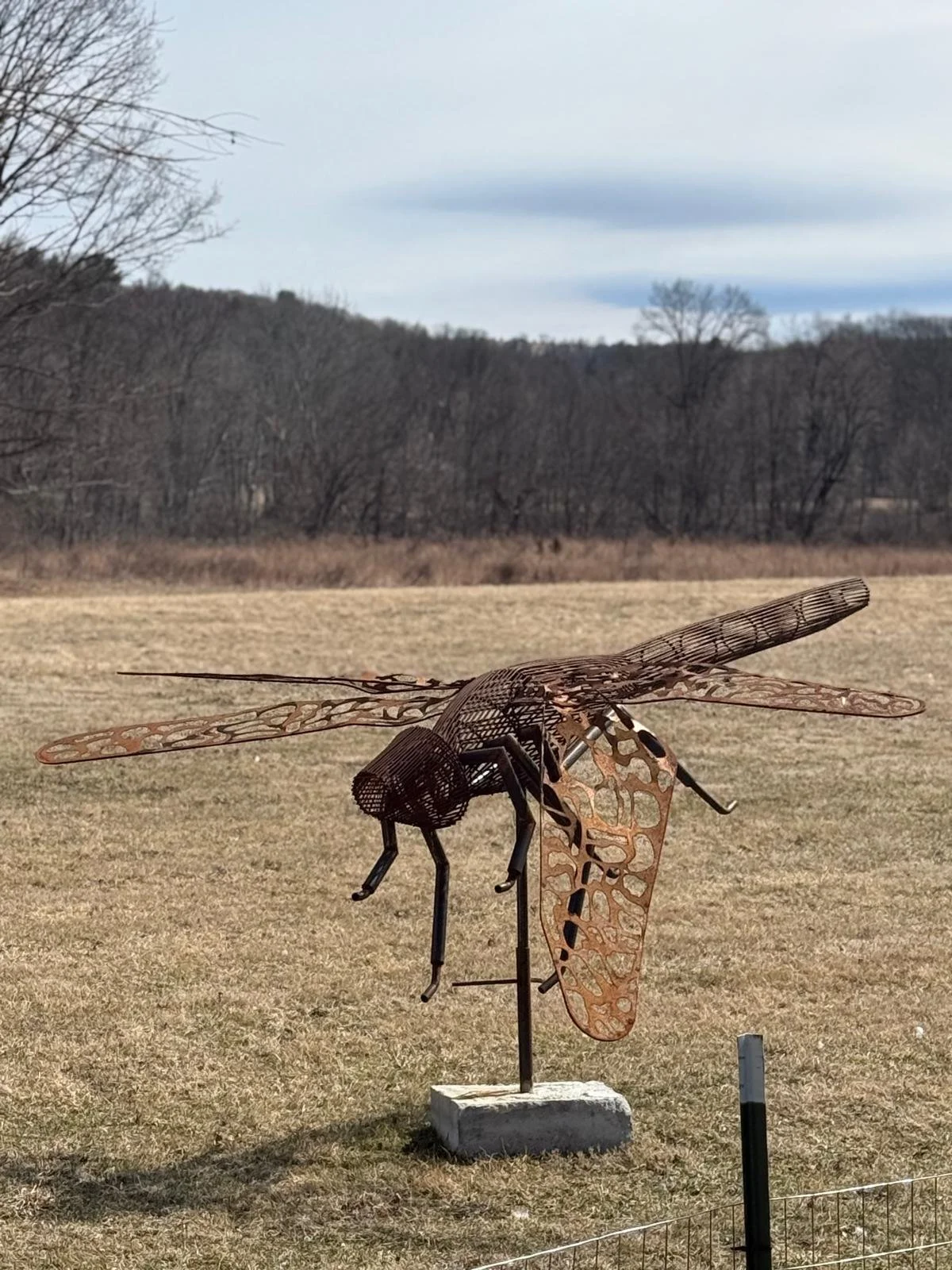 PHOTO-2025-03-28-18-54-36 7.jpg