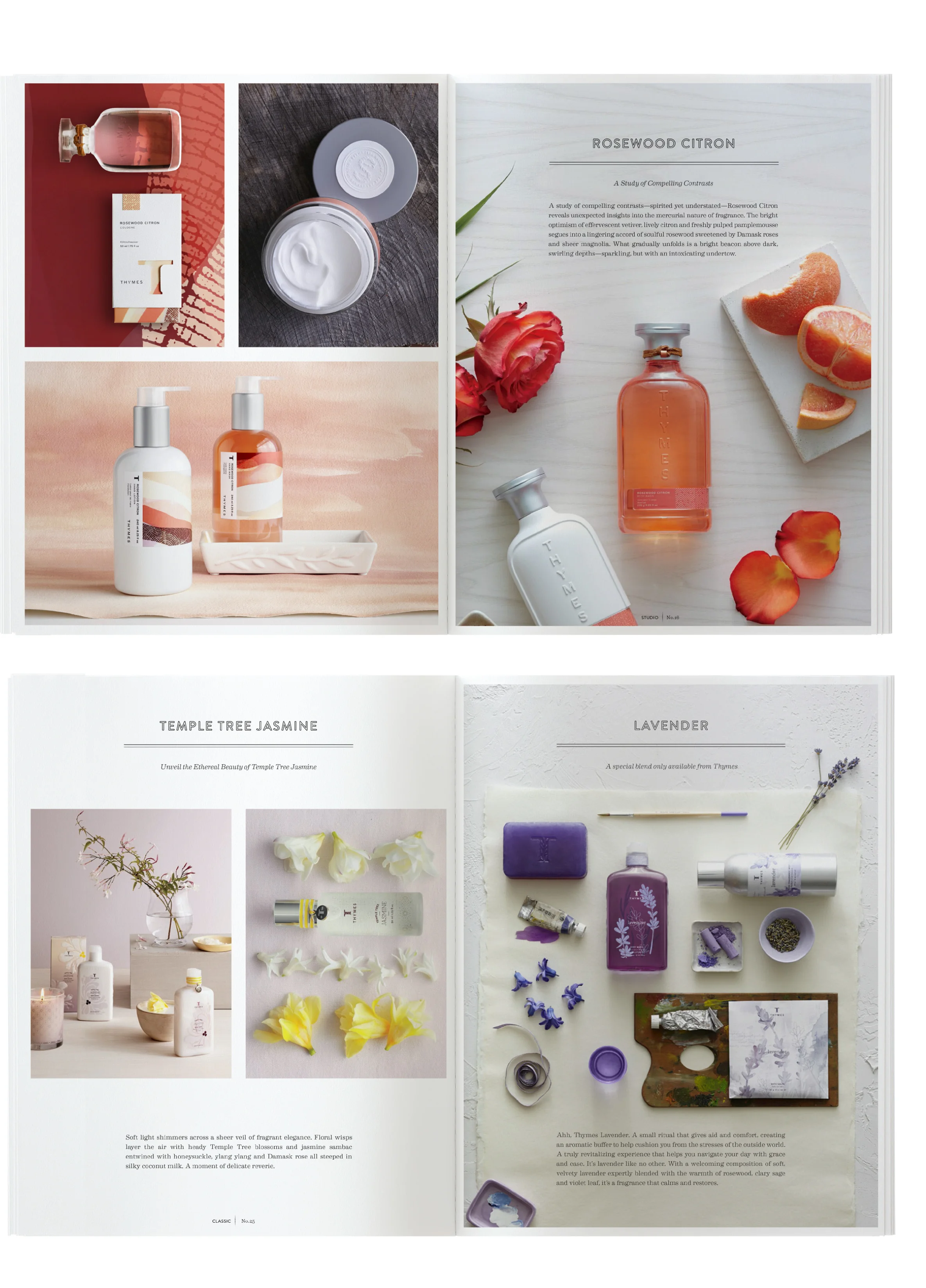 thymes3.jpg