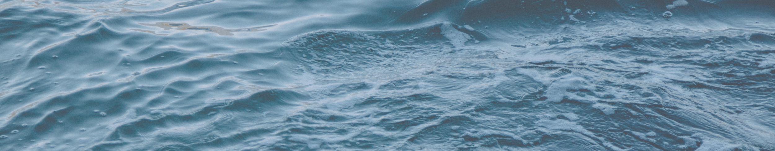 banner 1.png