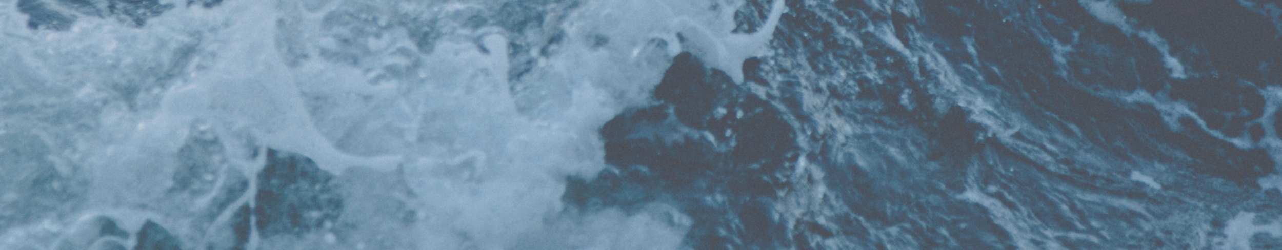 banner3.png