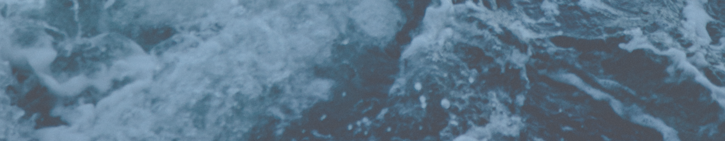 banner4.png
