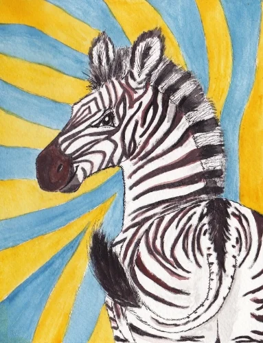 Baby Zebra