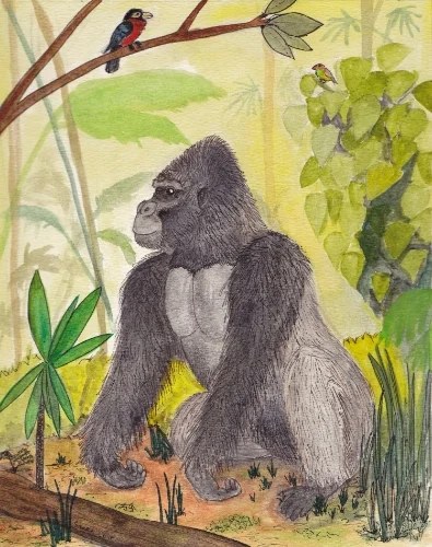 Mountain Gorilla