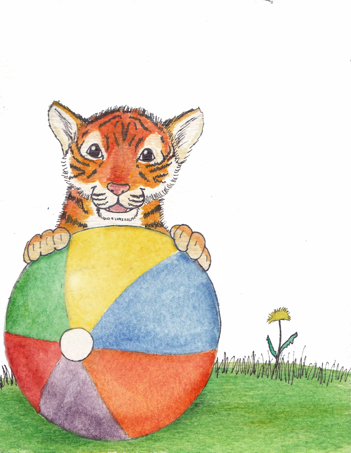 Spring Tiger