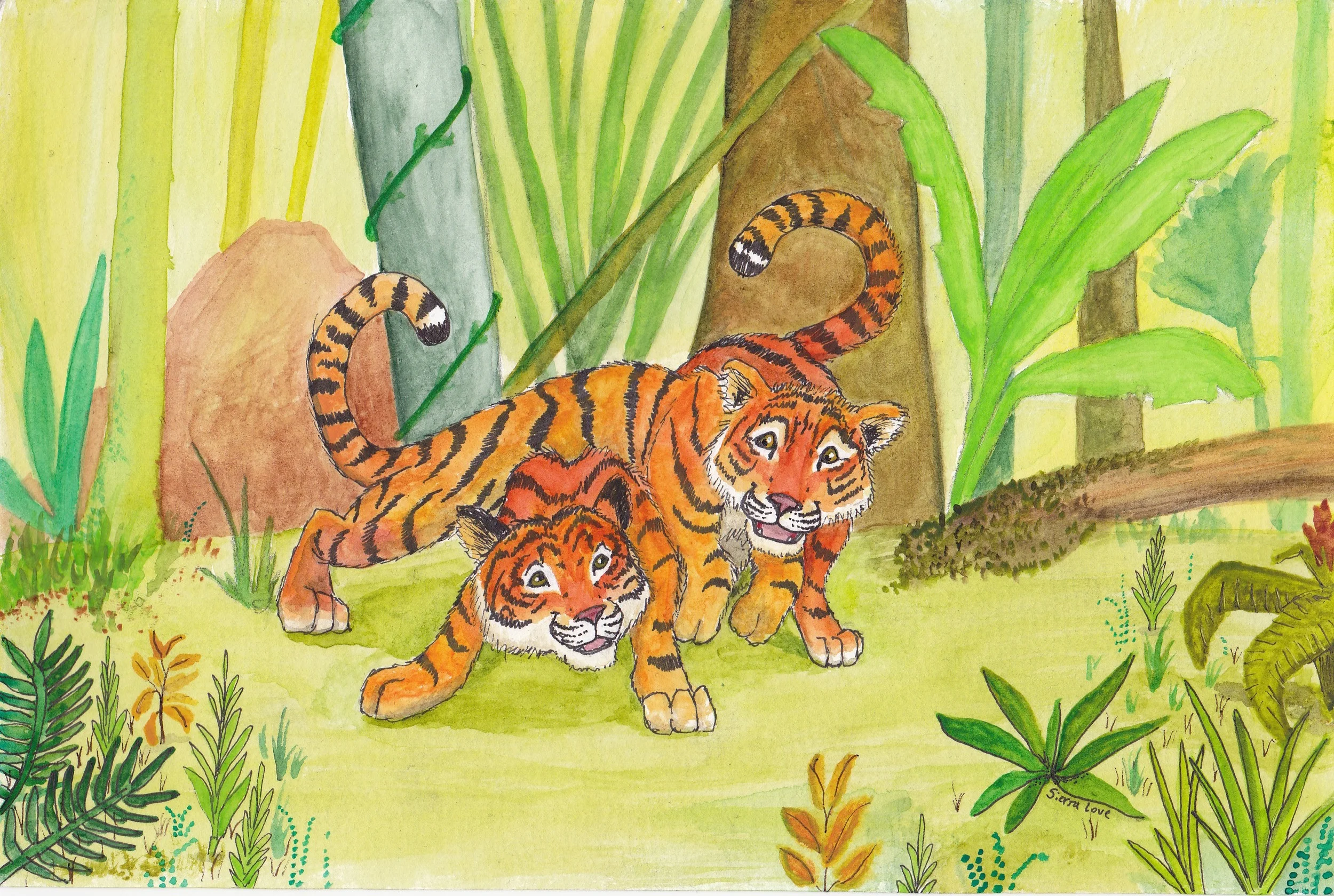 Tiger cubs