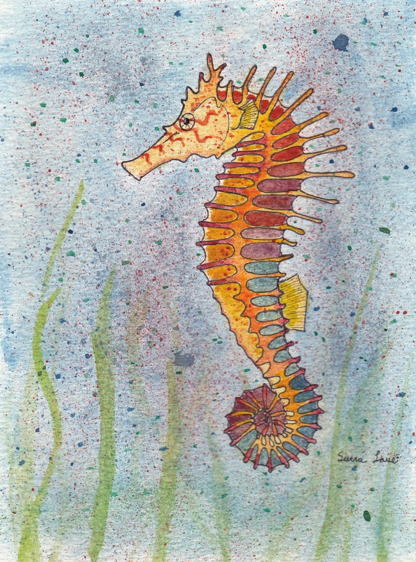 Seahorse
