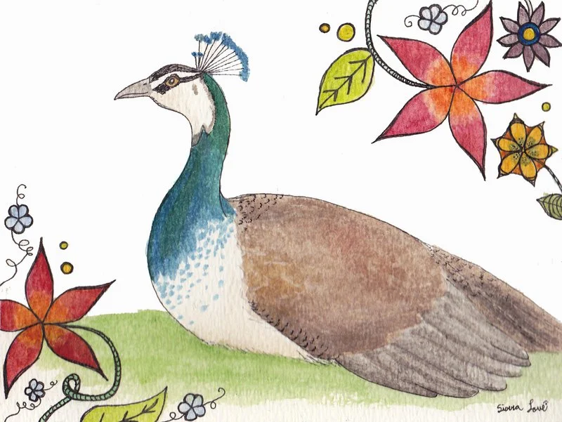 Peahen