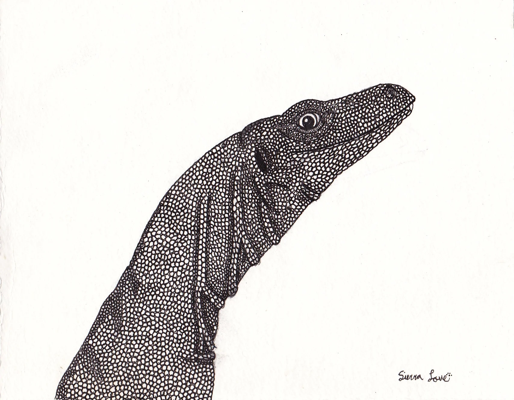 Sand Monitor