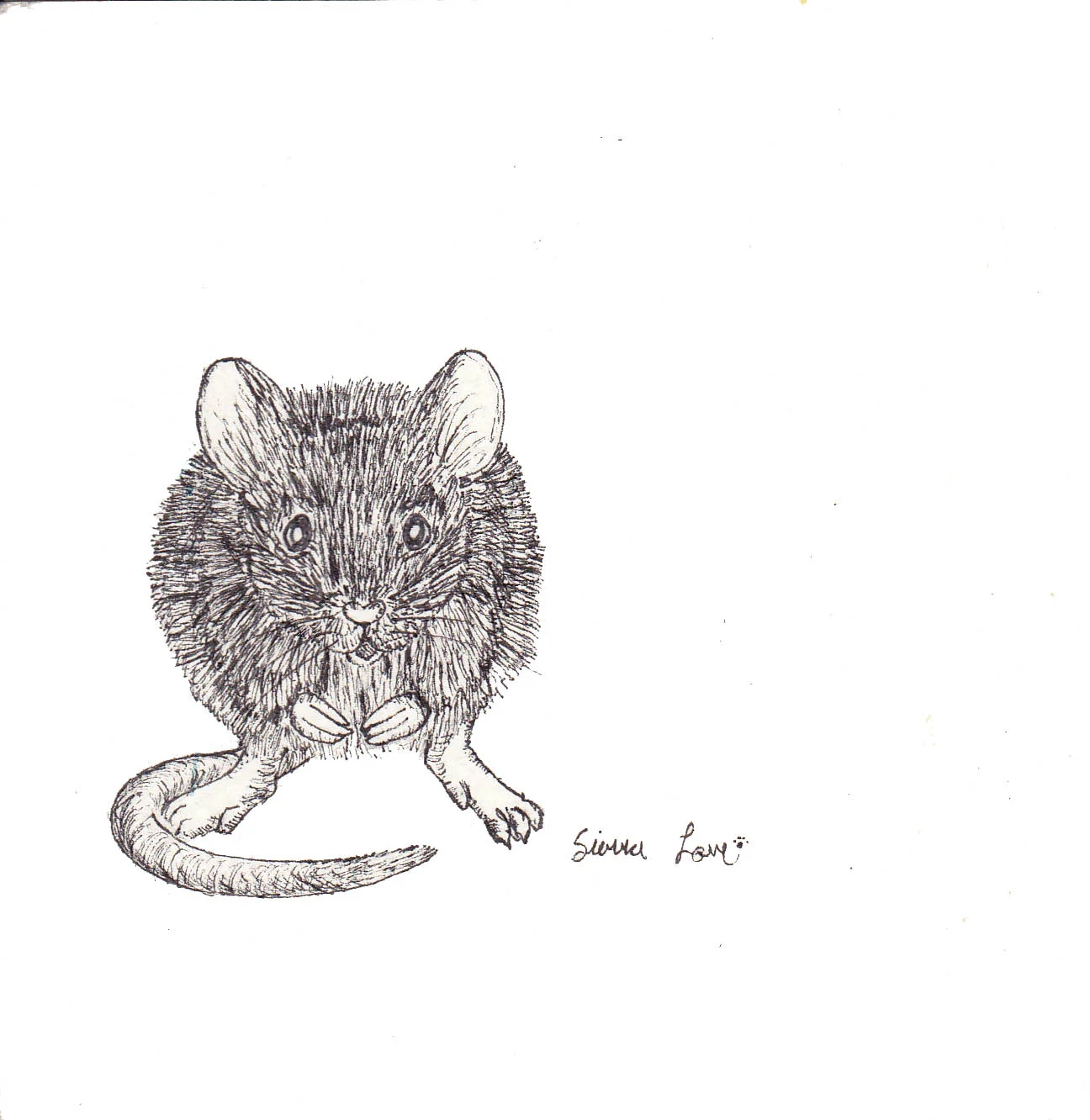 Line Mouse