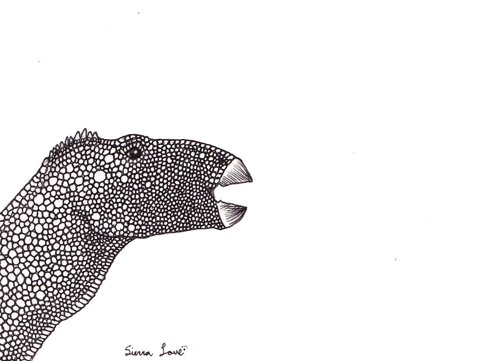 Rhabdodon bw