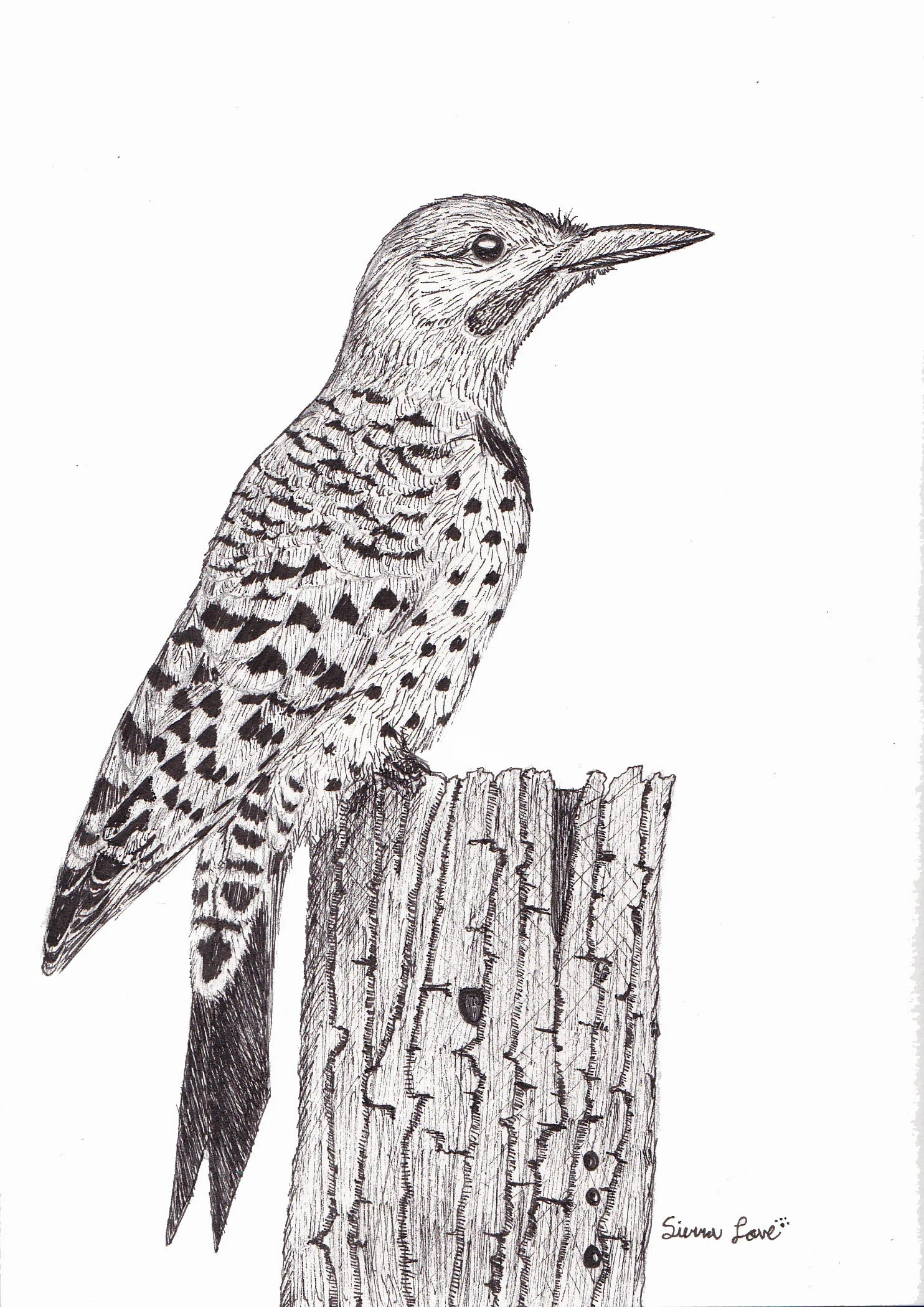 flicker
