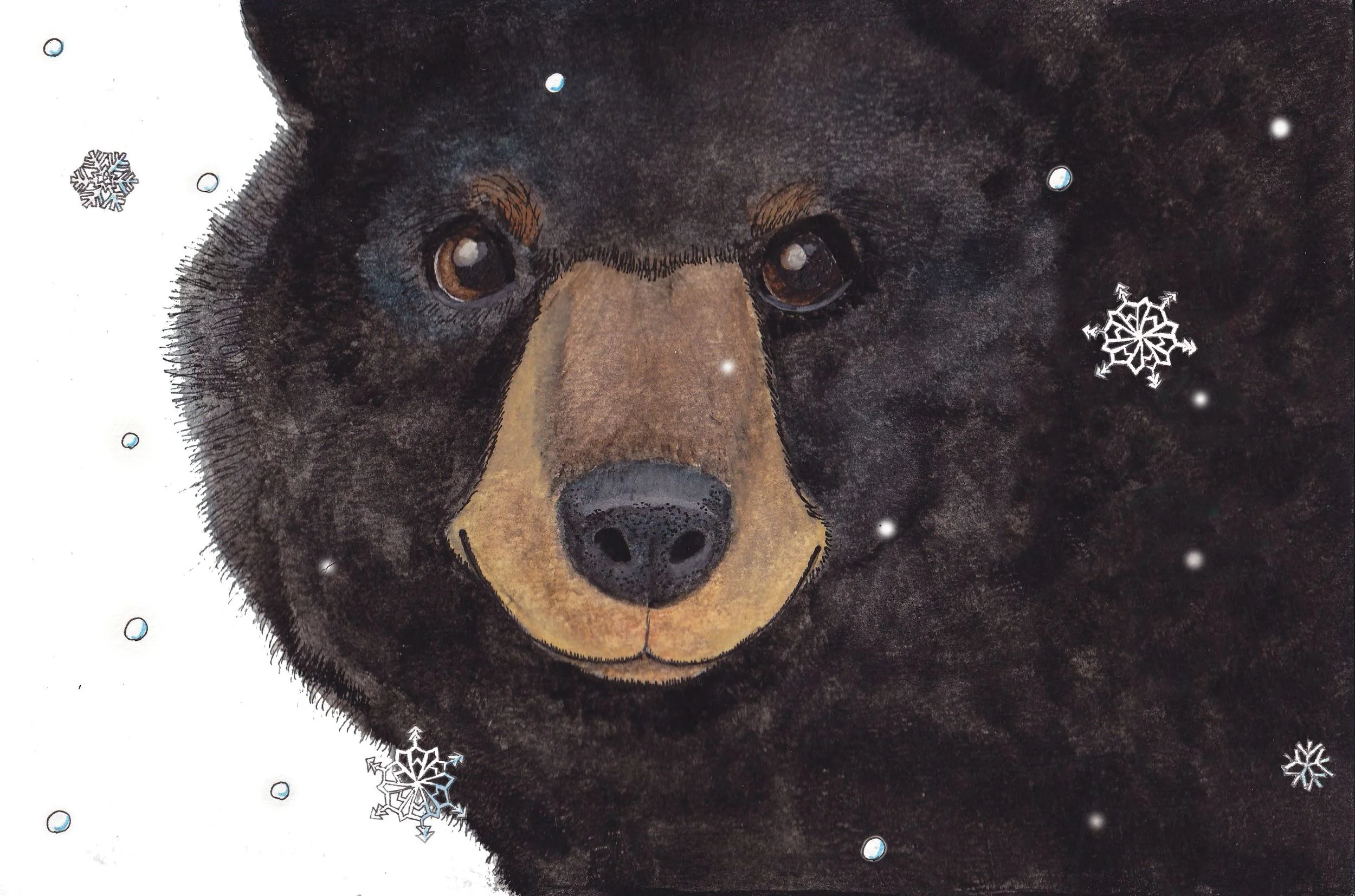 Lara's snow bear