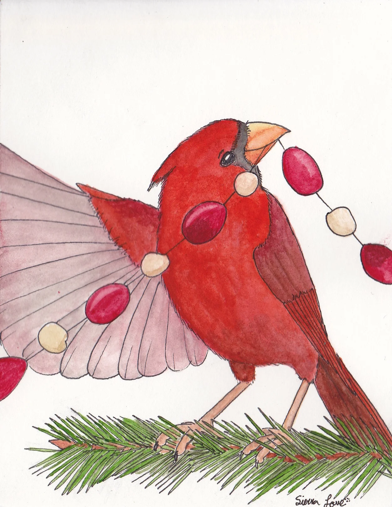 Yule Cardinal