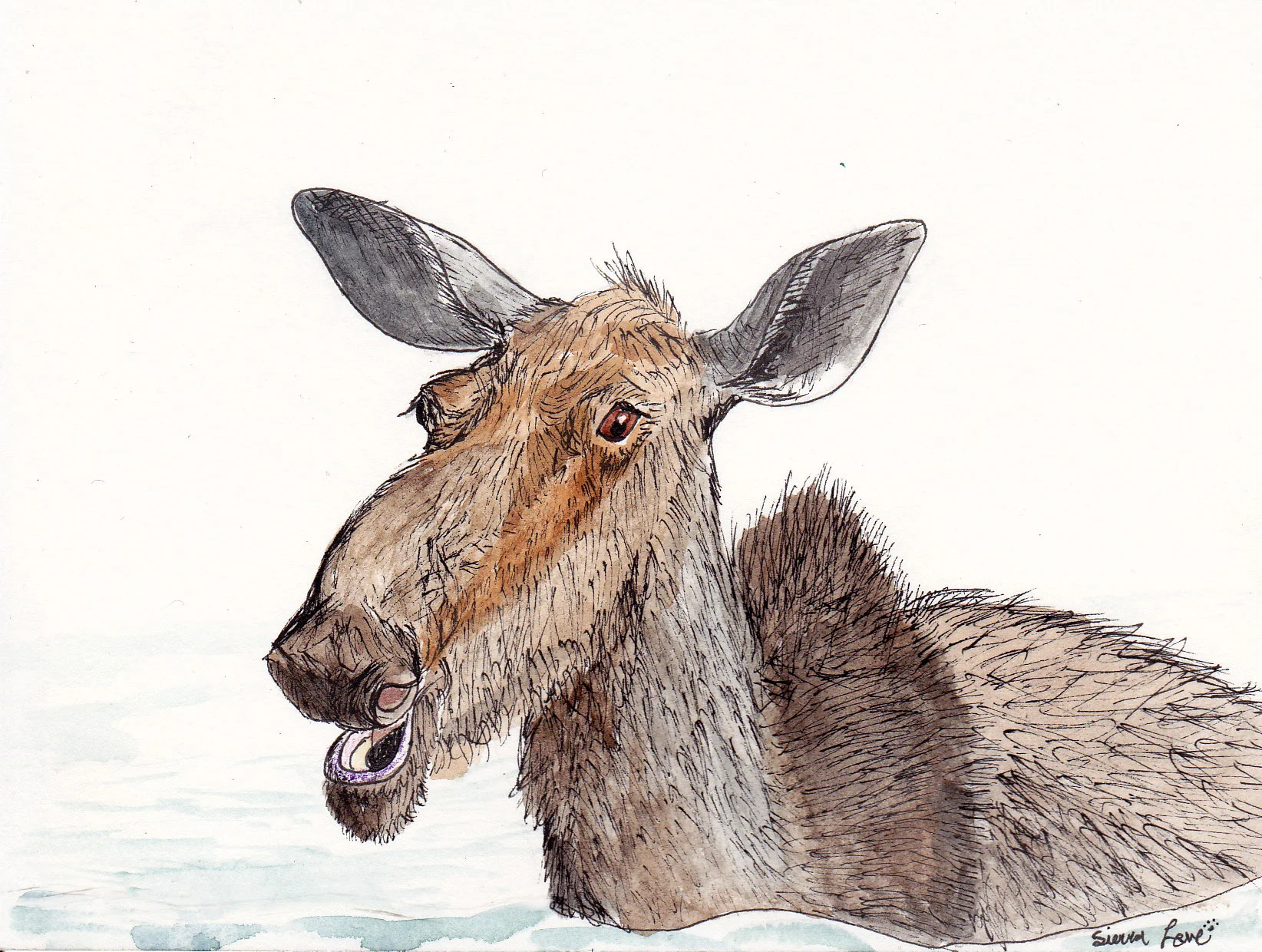 Brian's Moose