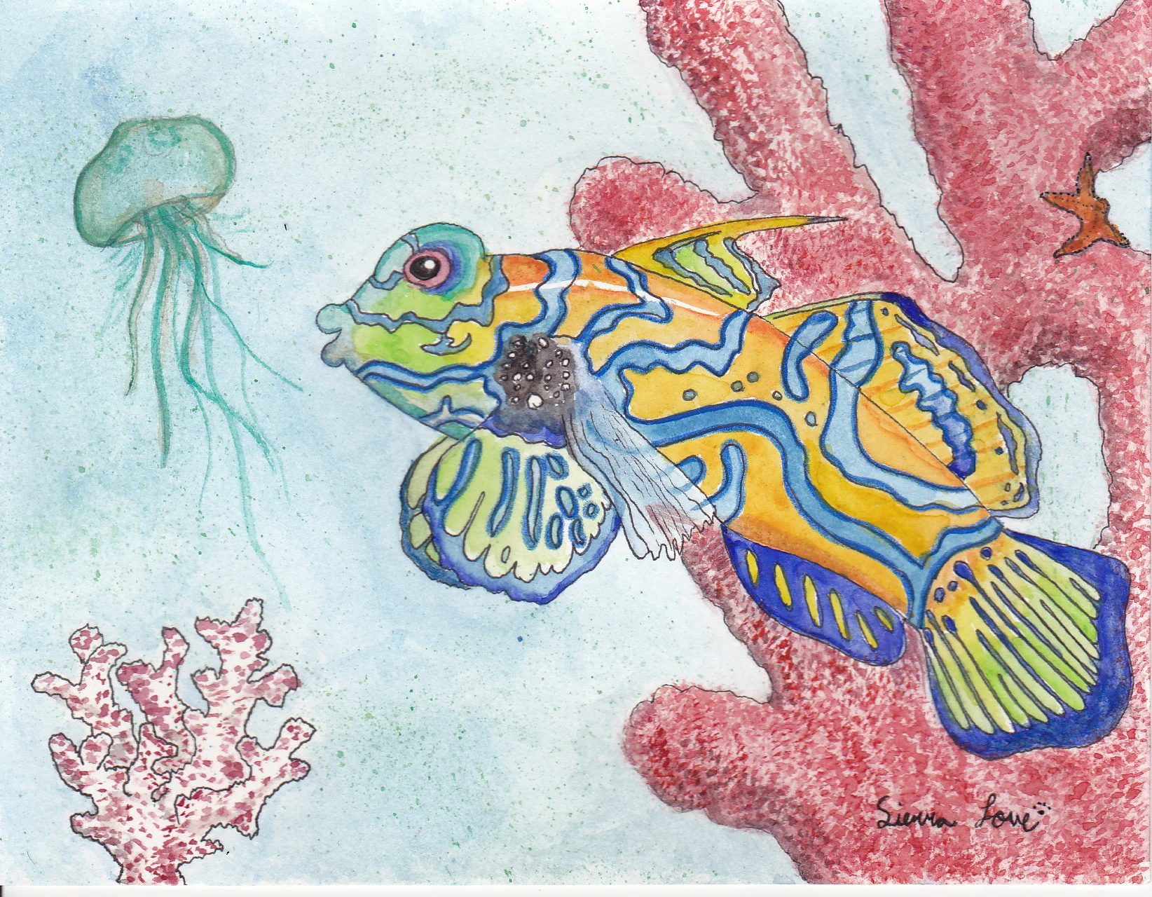 Mandarinfish