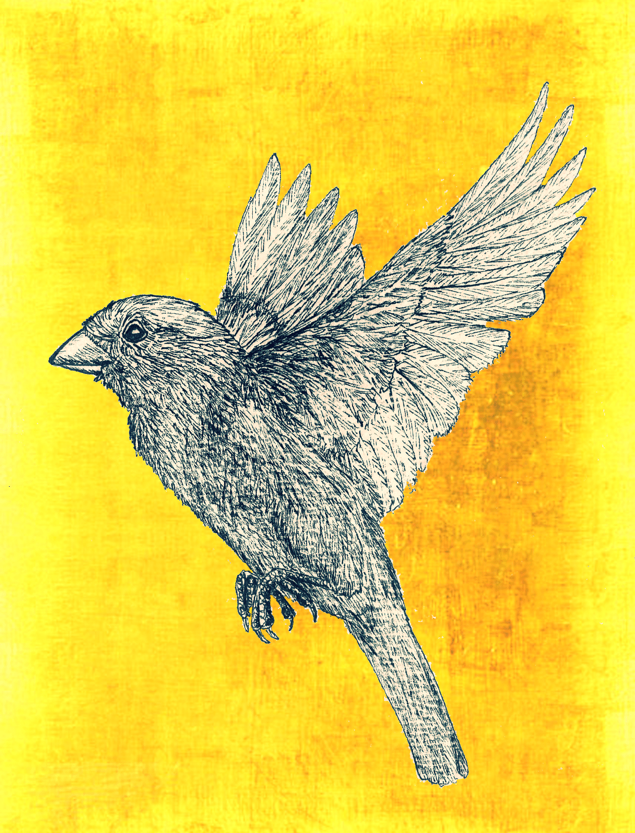 sparrow in flight