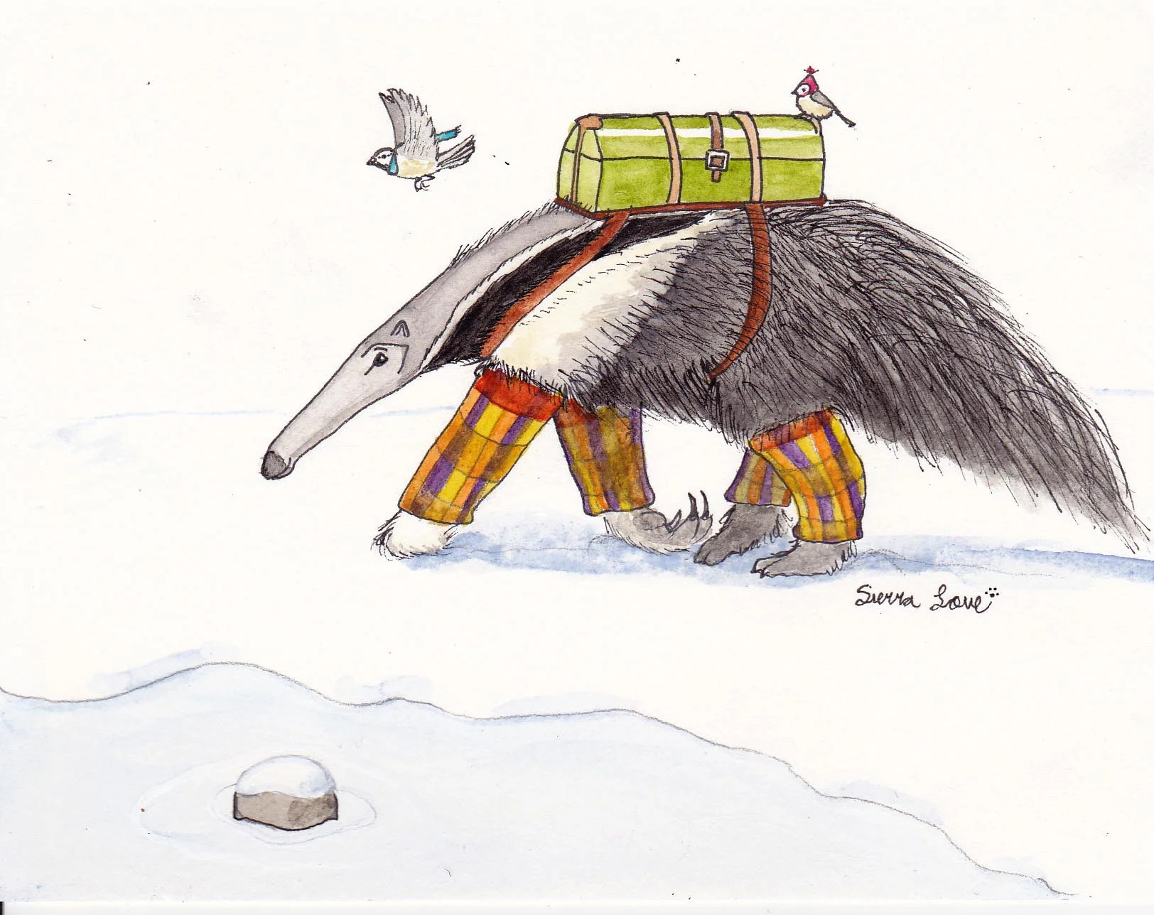 Winter Anteater - Unexpected Guests