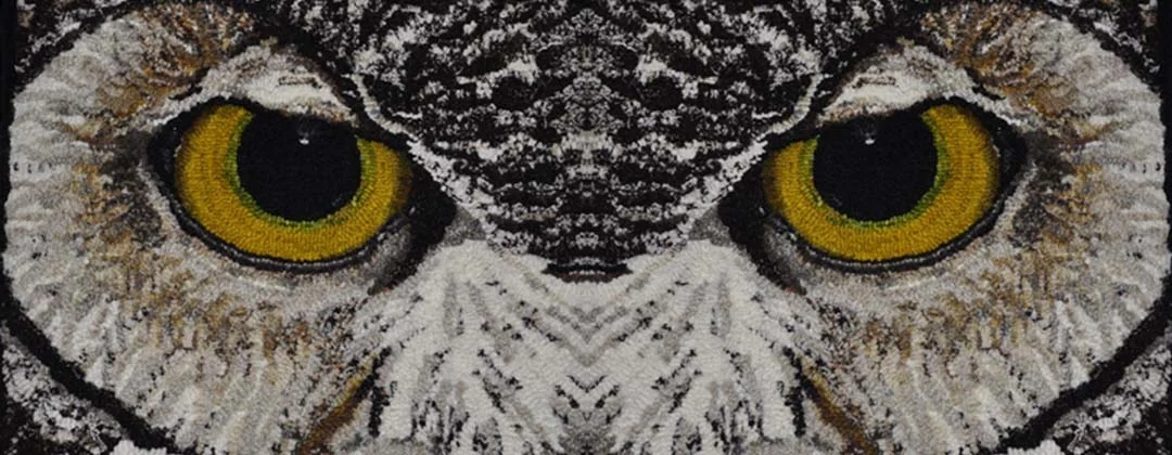 Eye See You Project