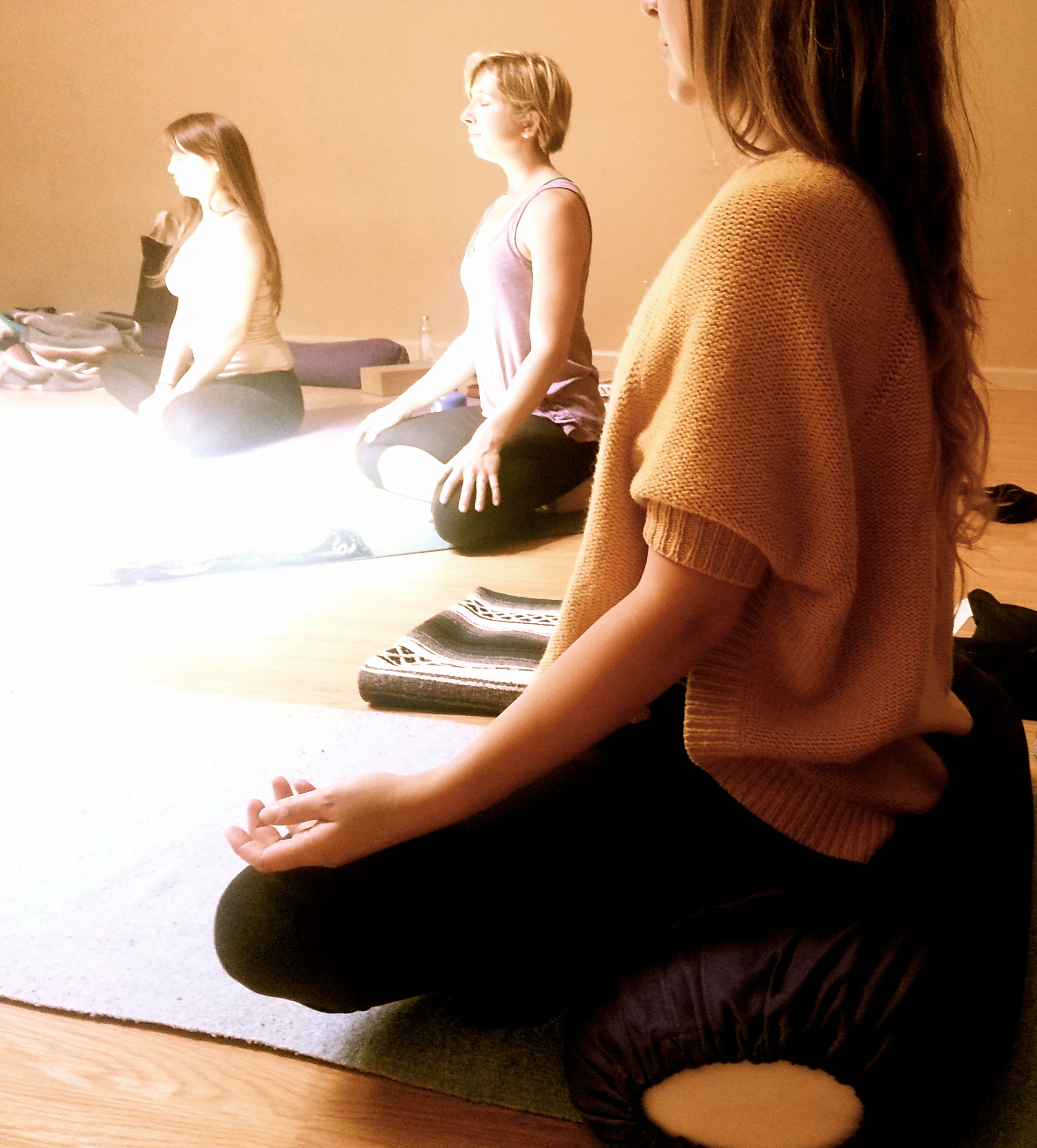 YOGA THERAPY TRAINING