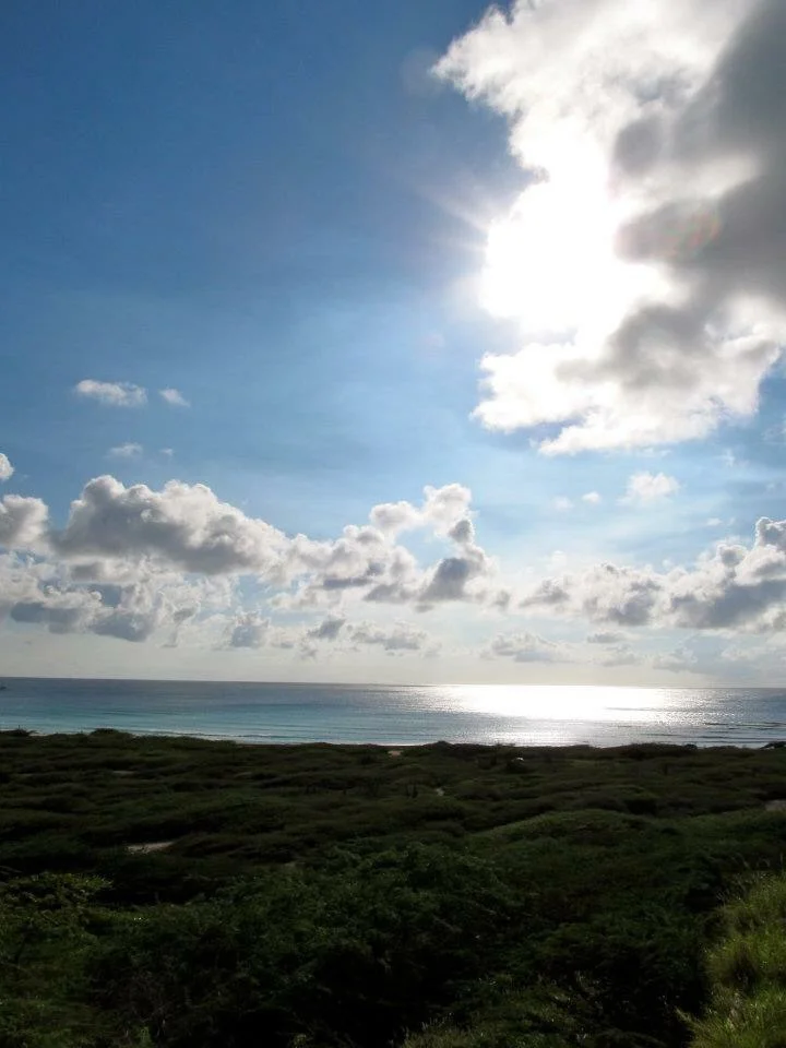 {aruba}