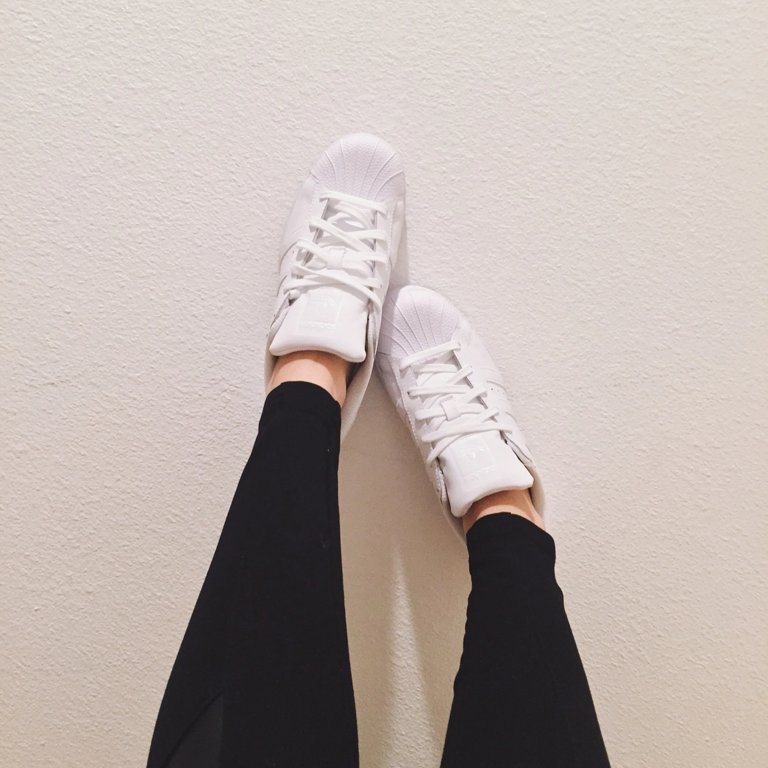 {my new babies}