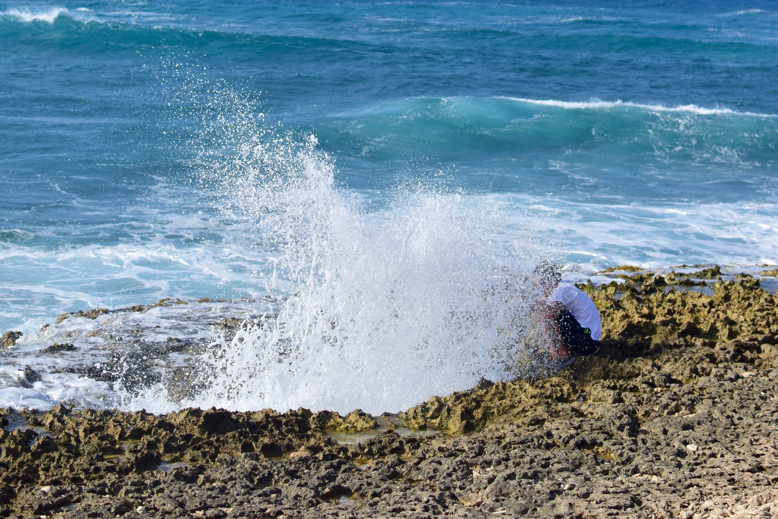 DSC_0386.jpg