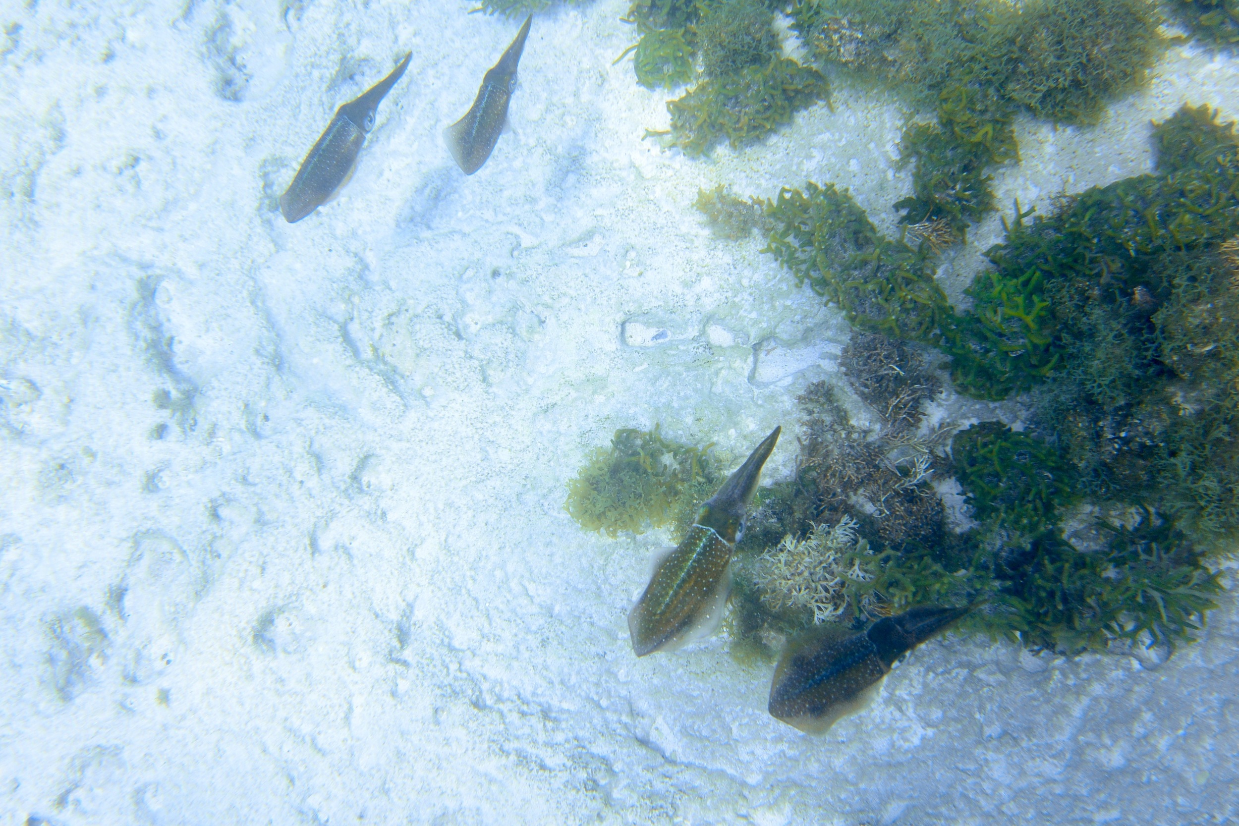 DSC_2344.jpg