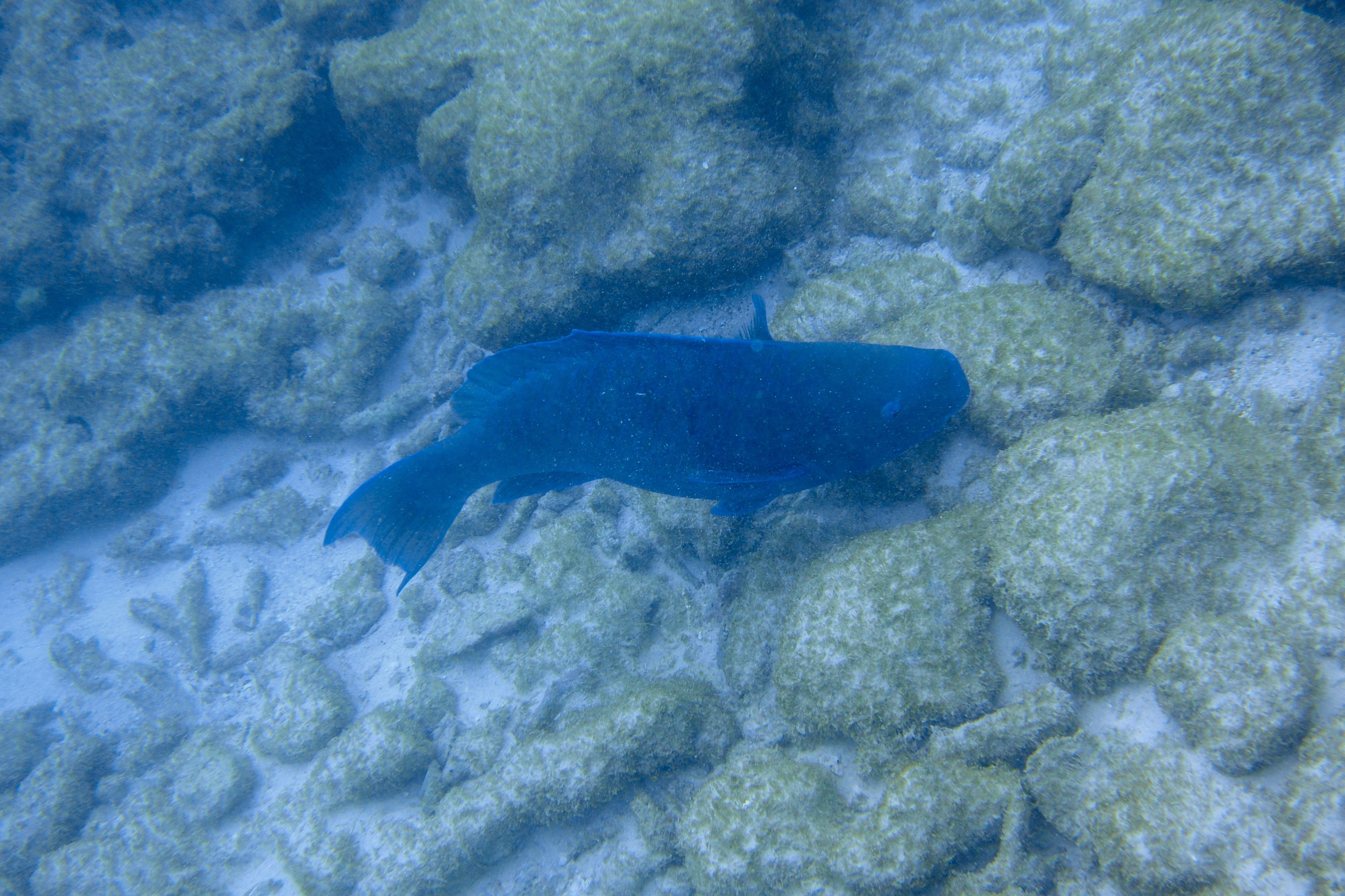 DSC_2370.jpg
