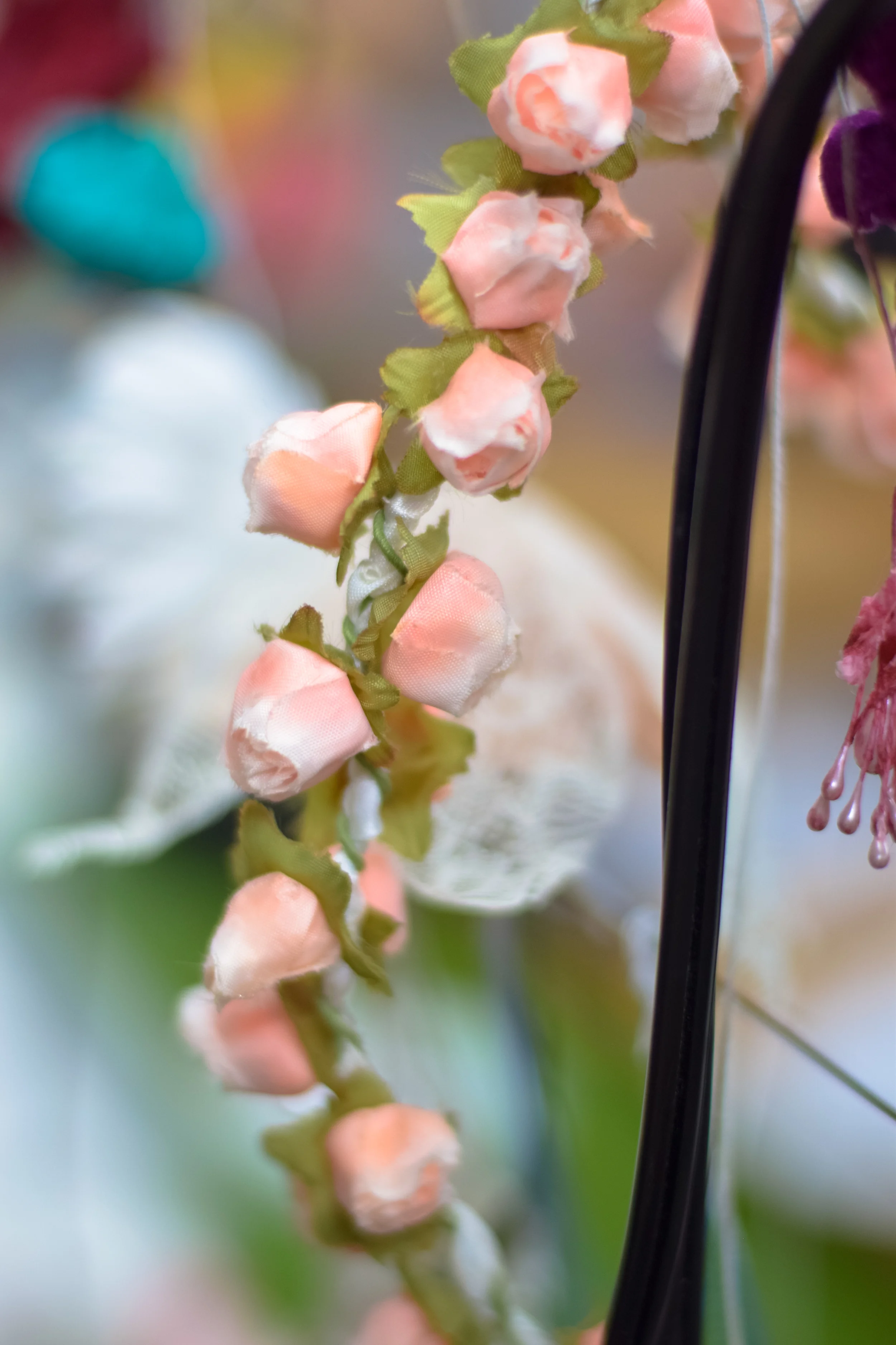 DSC_0445-2.jpg