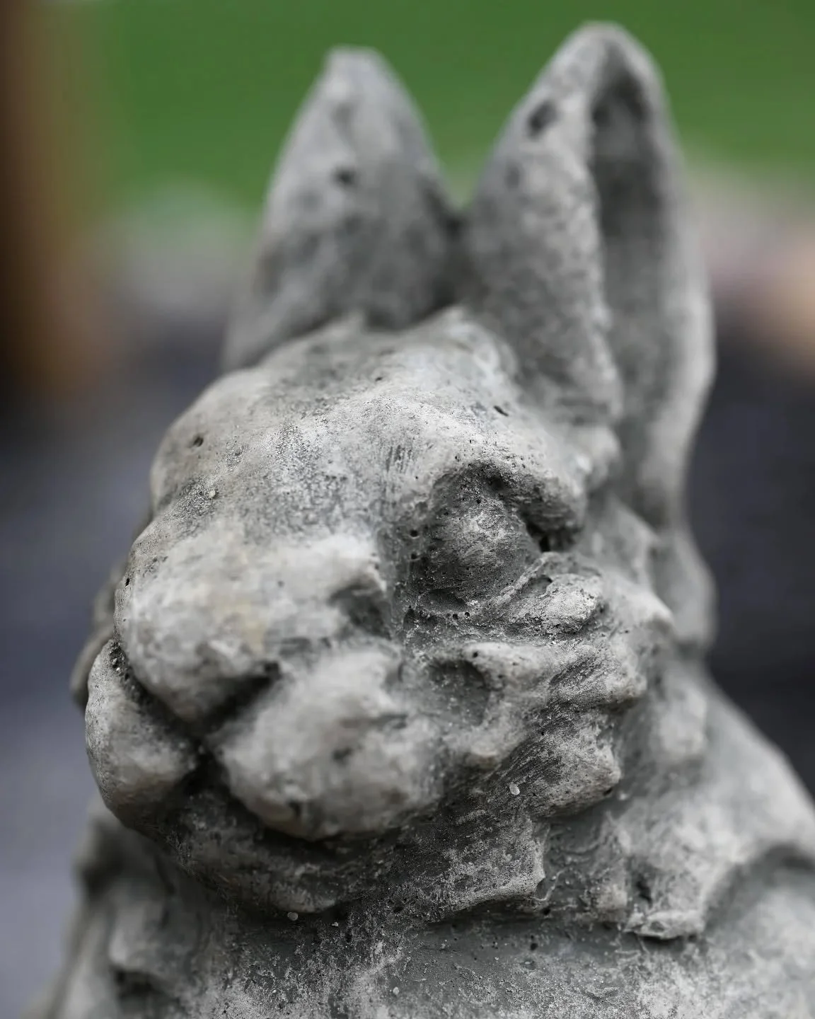 Got myself a big boy camera recently so here are a couple unedited test shots.